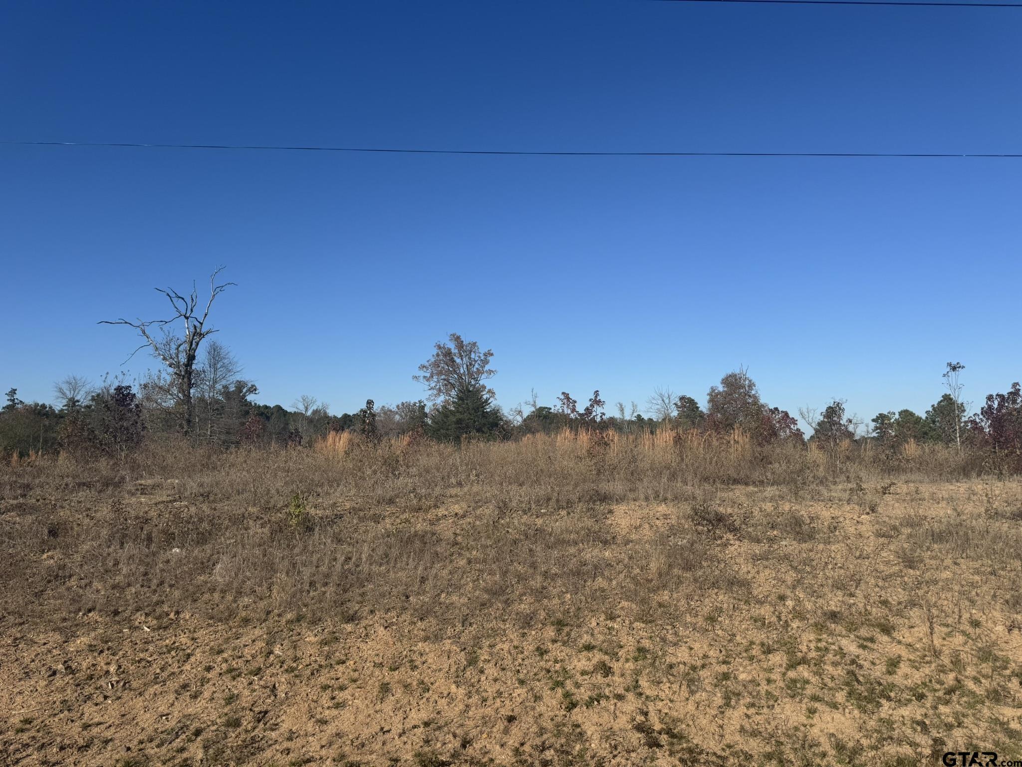 16643 Ridgeline Loop Property Photo 1