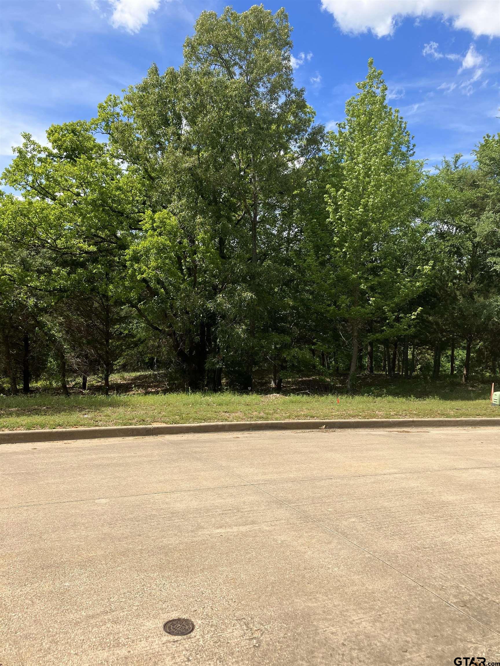 2433 Wellington Trace Property Photo 1
