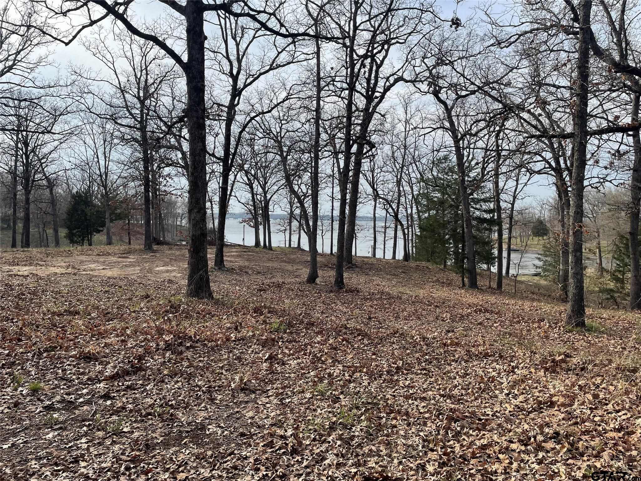 Lake Fork Lot Indian Gap Property Photo 1