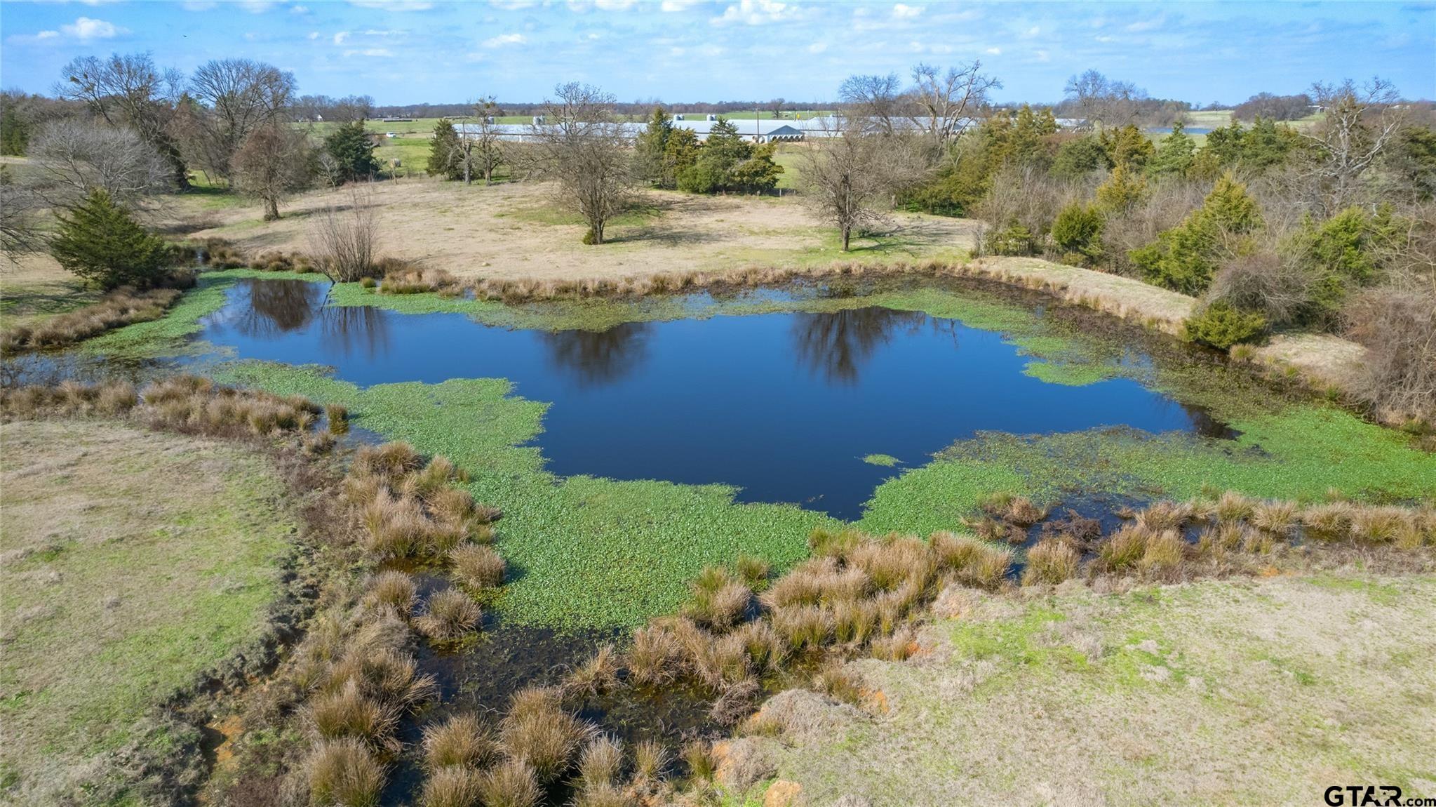 22ac Lot2a County Road 2376 Property Photo 1