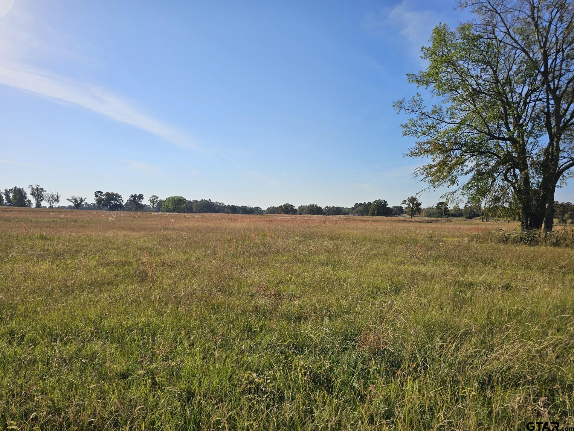 LOT 16 CR 3270