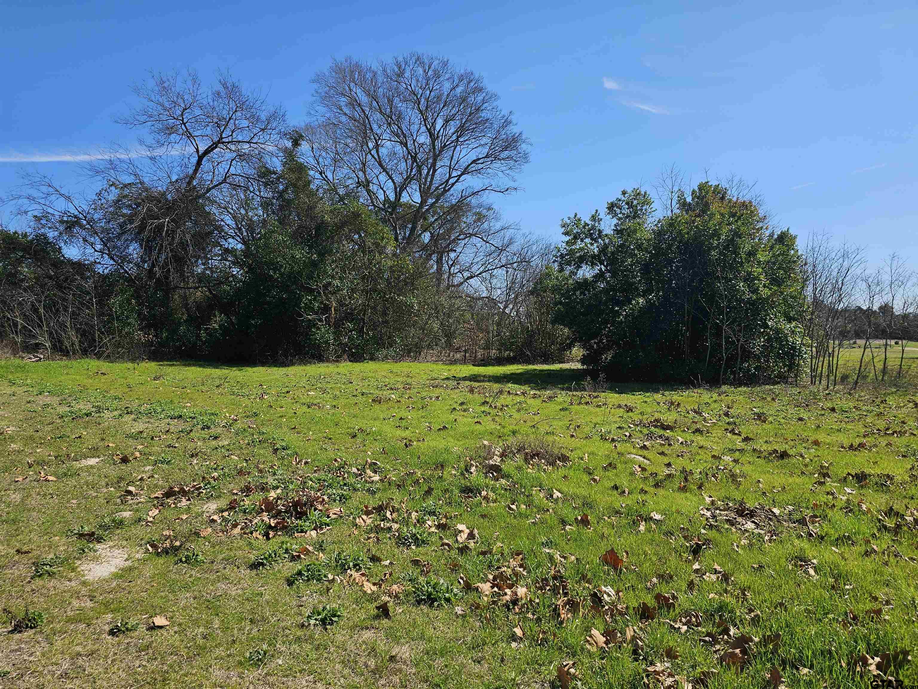 TBD FM 1002 (.58 Acres)