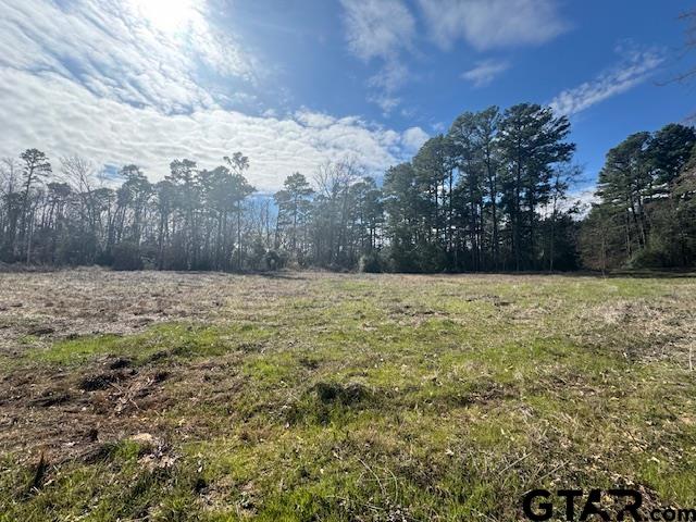 Tbd Cr 224 Lot 5 Property Photo