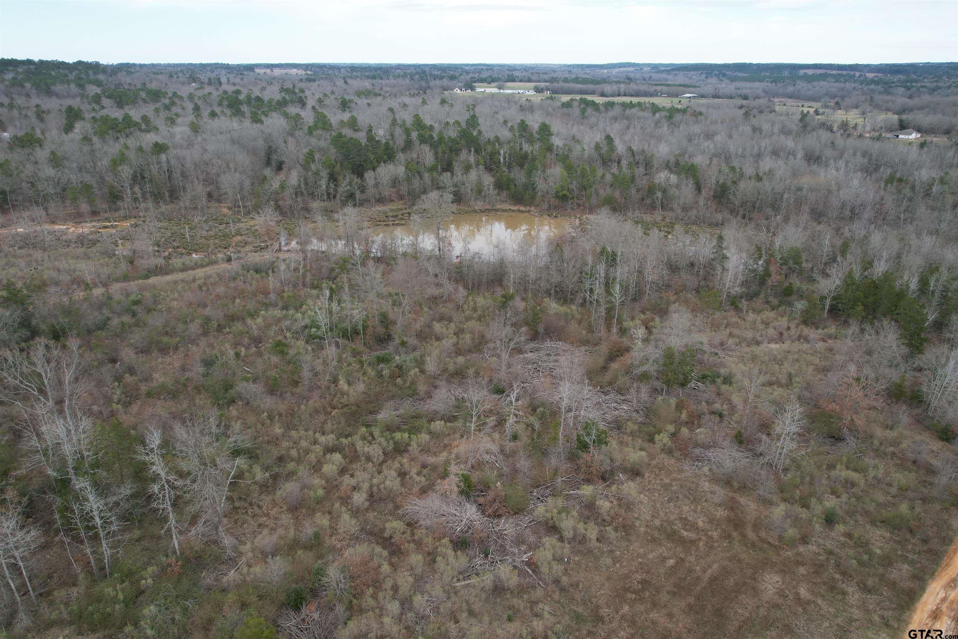 Tbd County Road 378 Property Photo