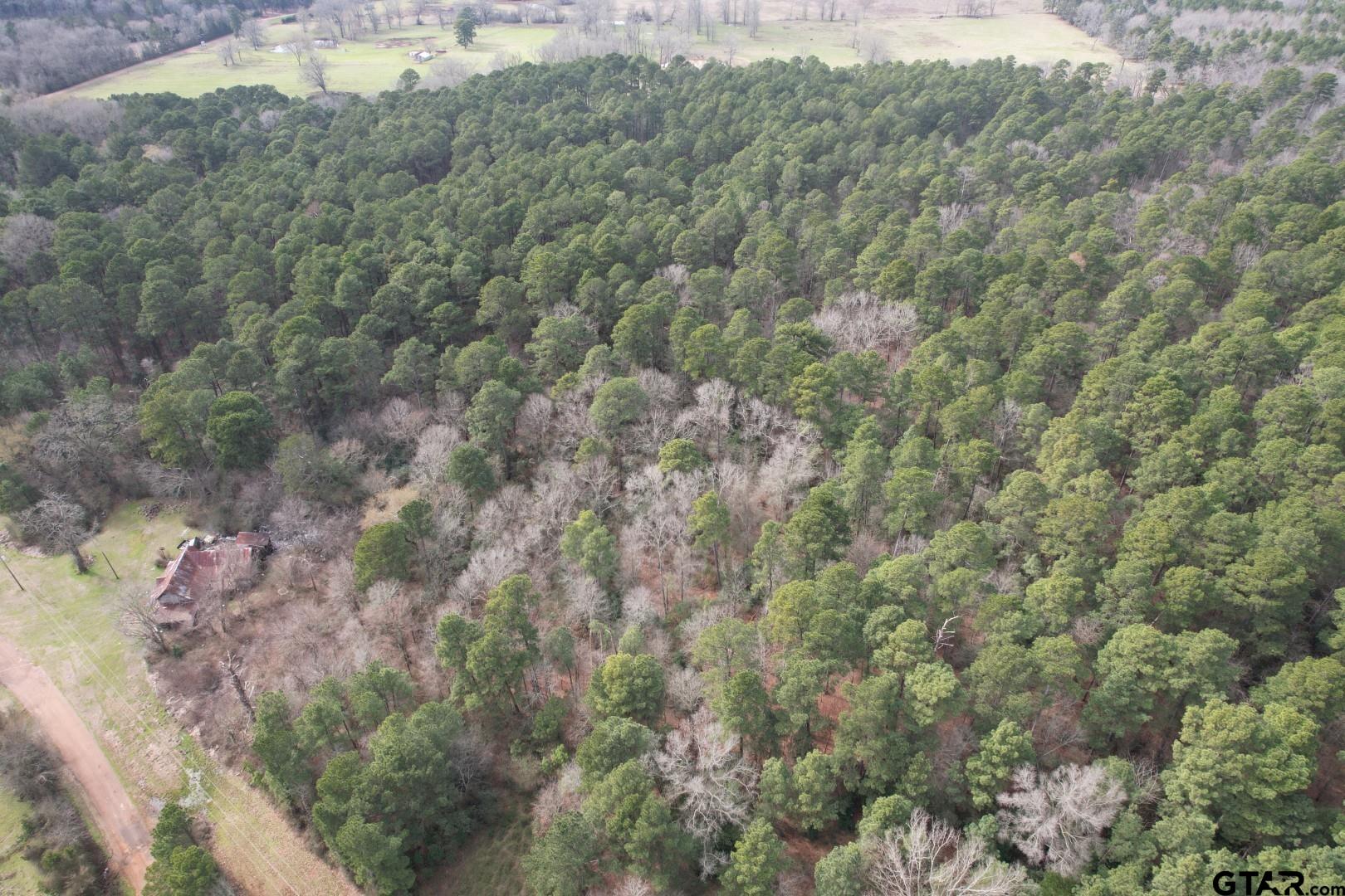 Tbd County Road 3156 Property Photo