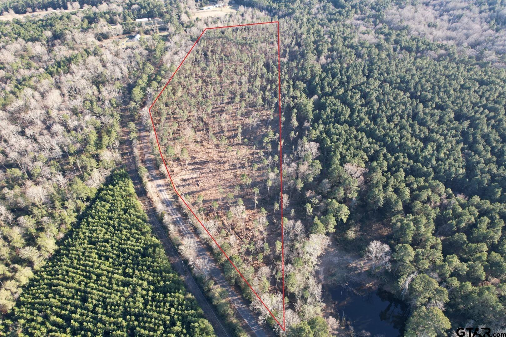 Tbd County Road 430 Property Photo