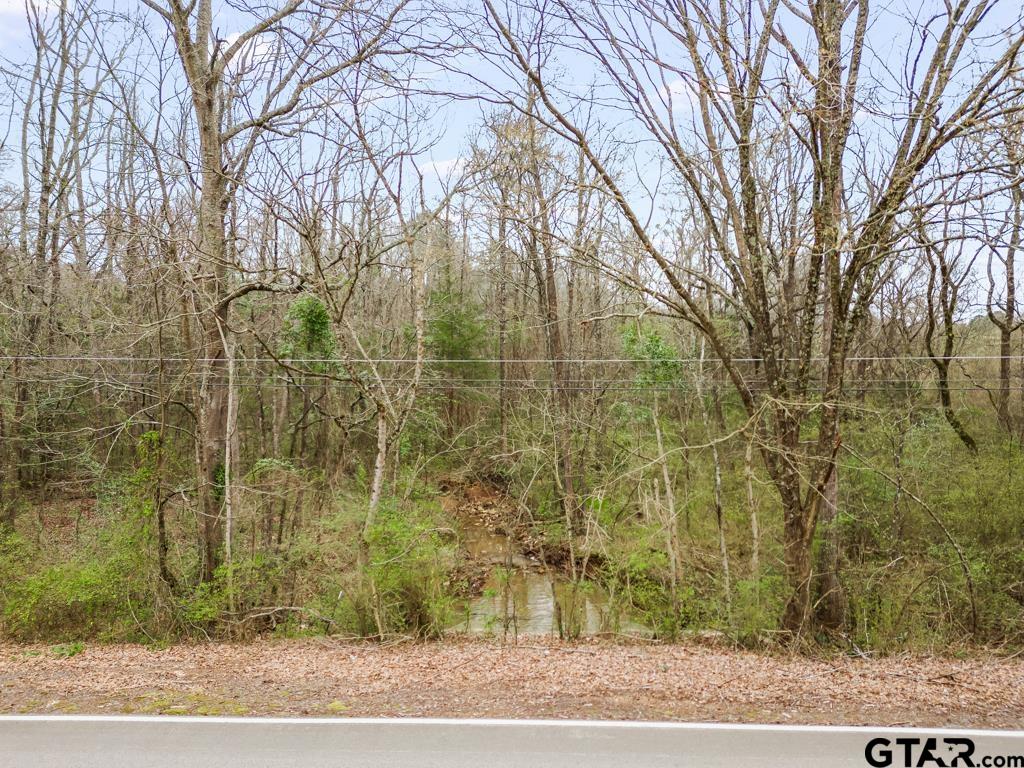 250 E Pliler Precise Property Photo 6