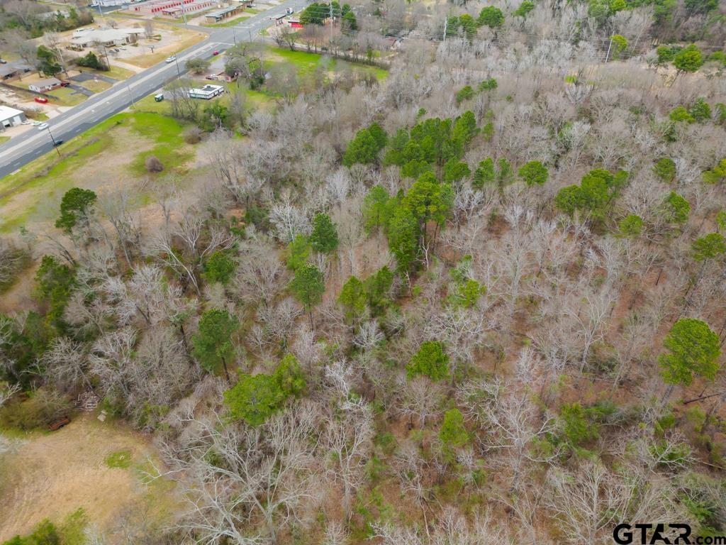 250 E Pliler Precise Property Photo 7