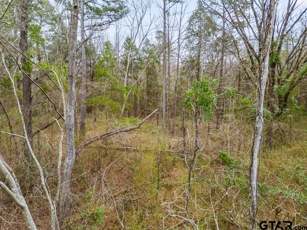 250 E Pliler Precise Property Photo 8