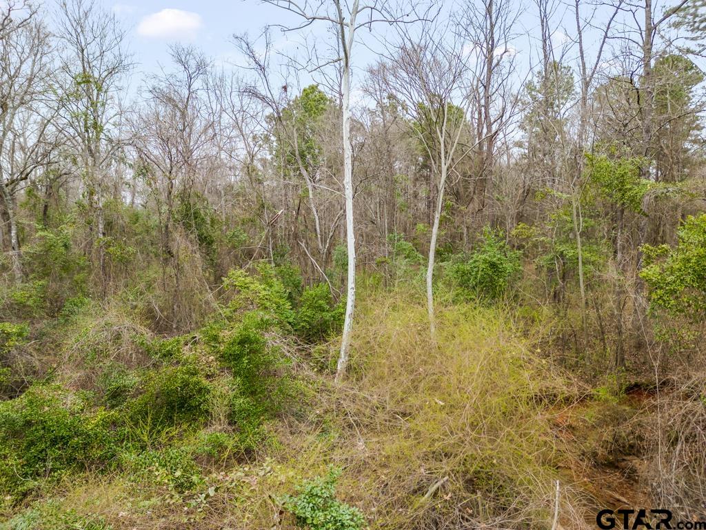 250 E Pliler Precise Property Photo 9