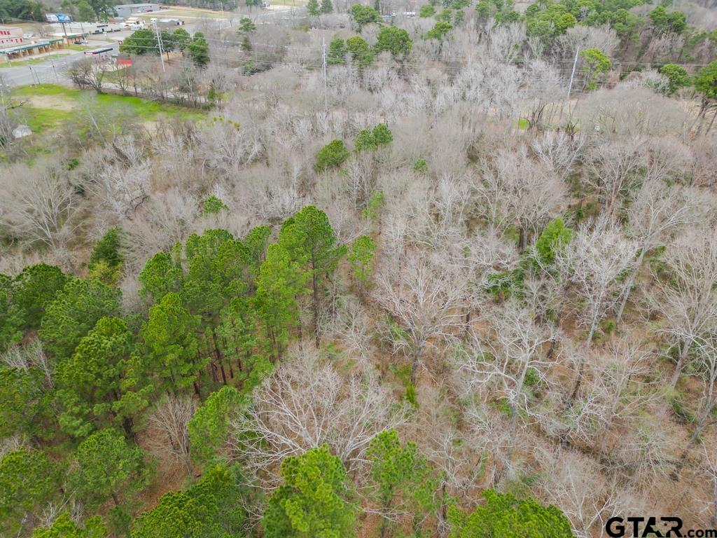 250 E Pliler Precise Property Photo 11