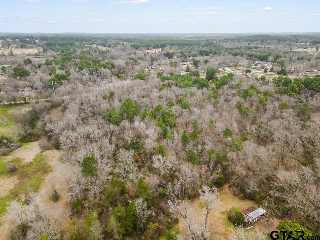 250 E Pliler Precise Property Photo 12