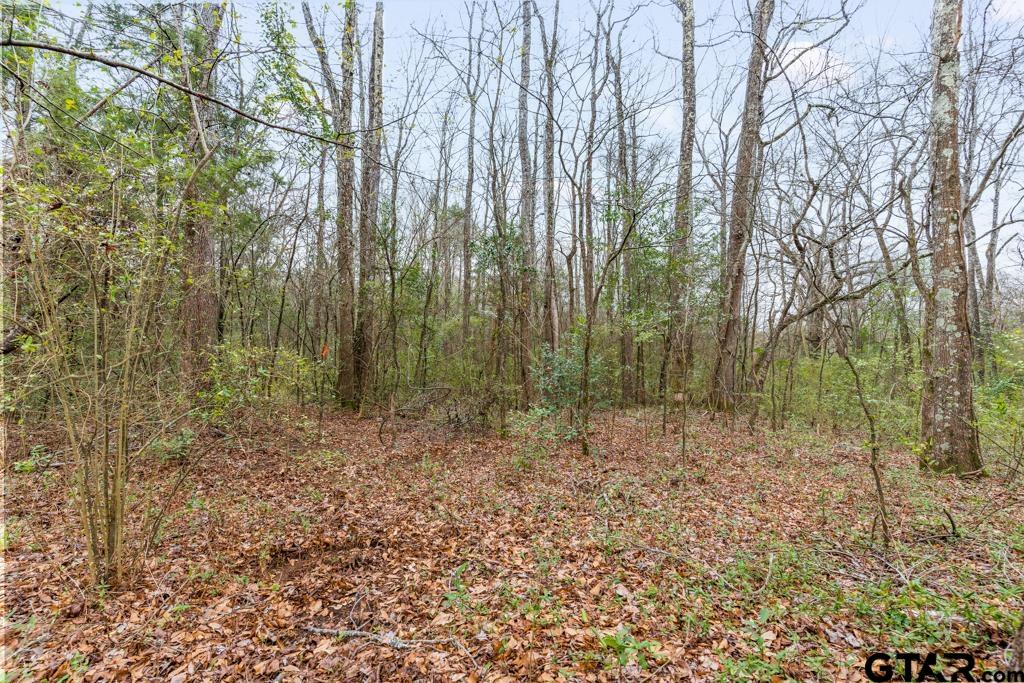 250 E Pliler Precise Property Photo 13