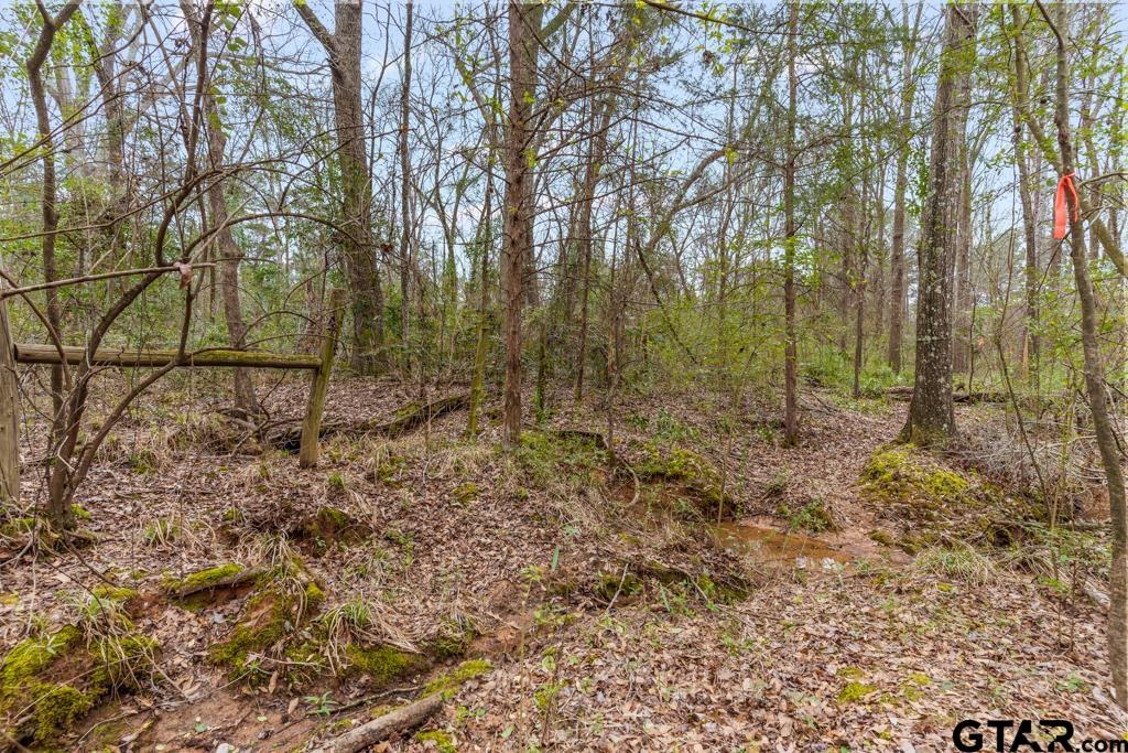 250 E Pliler Precise Property Photo 14