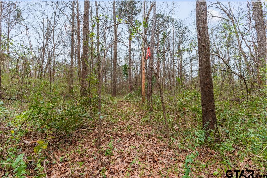 250 E Pliler Precise Property Photo 15