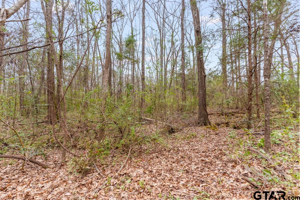 250 E Pliler Precise Property Photo 16