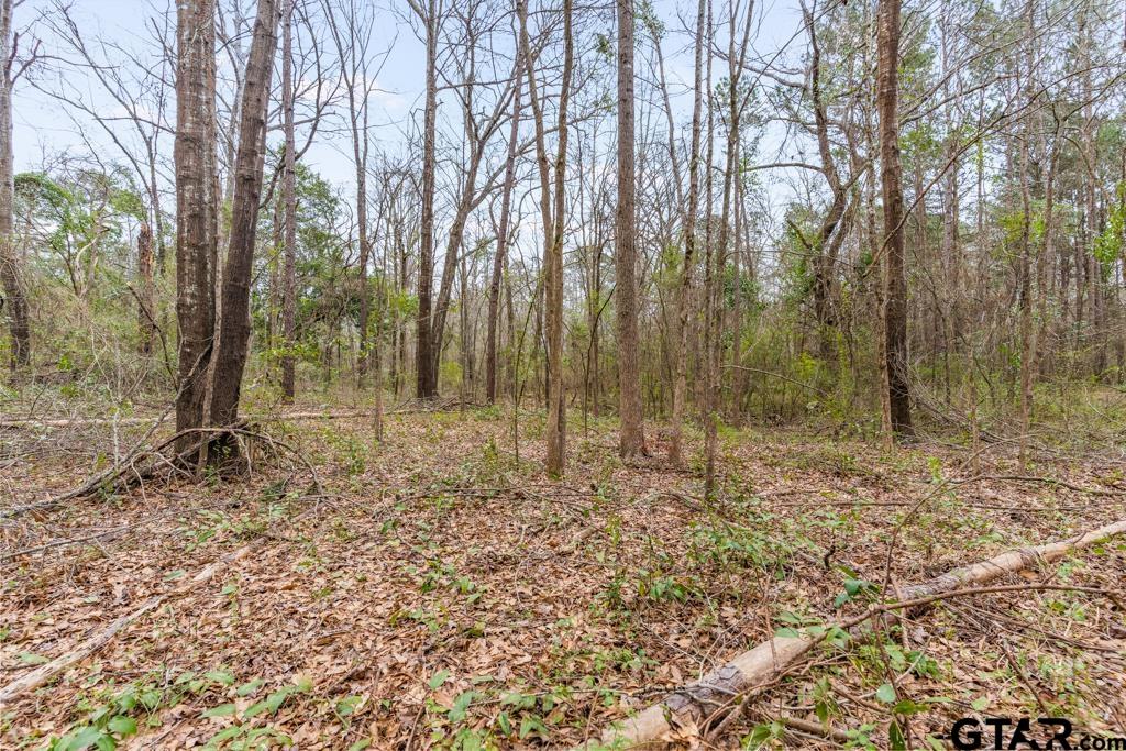 250 E Pliler Precise Property Photo 17