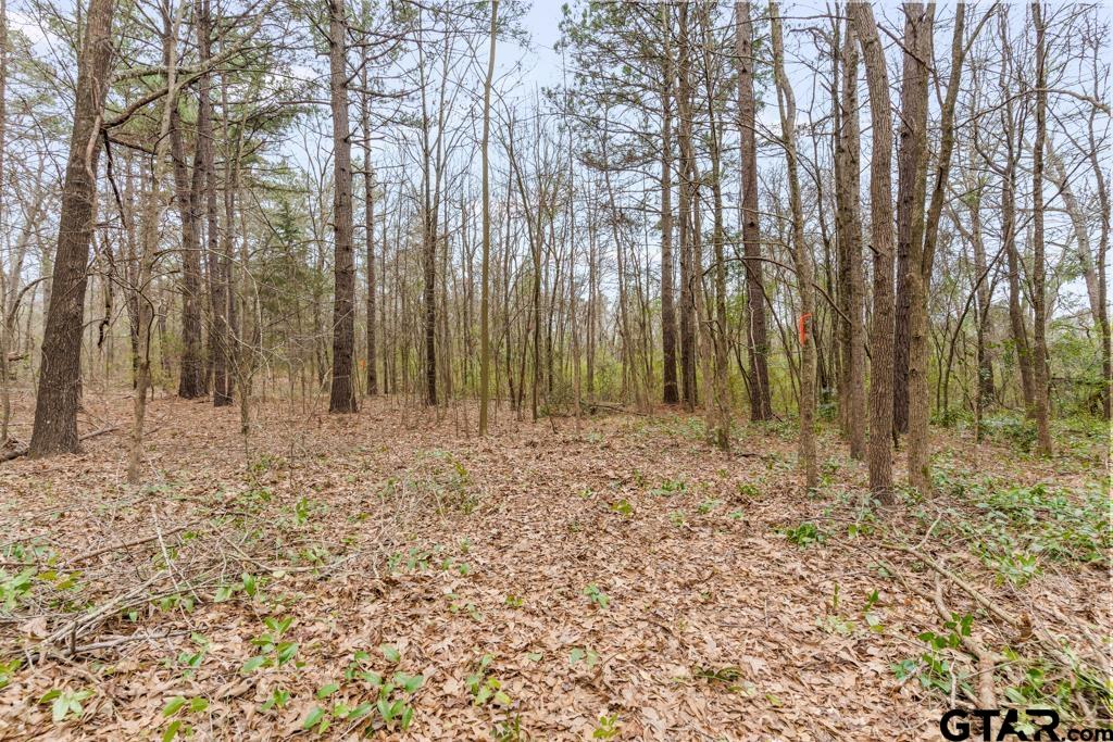 250 E Pliler Precise Property Photo 18