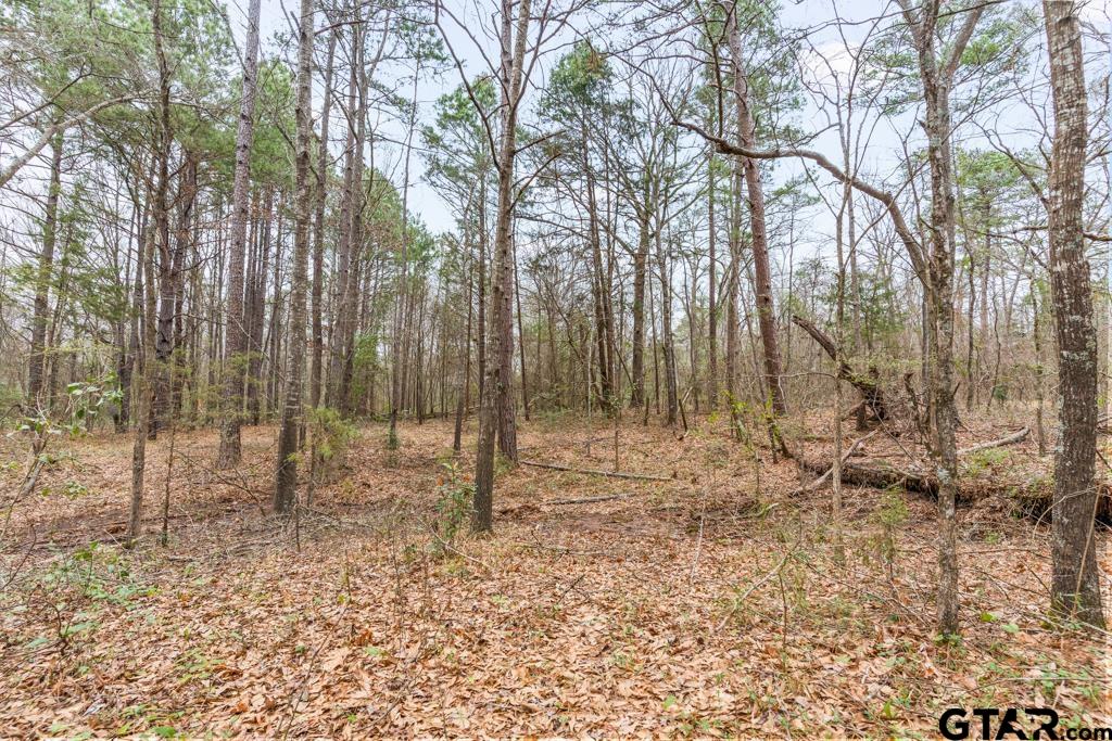 250 E Pliler Precise Property Photo 19