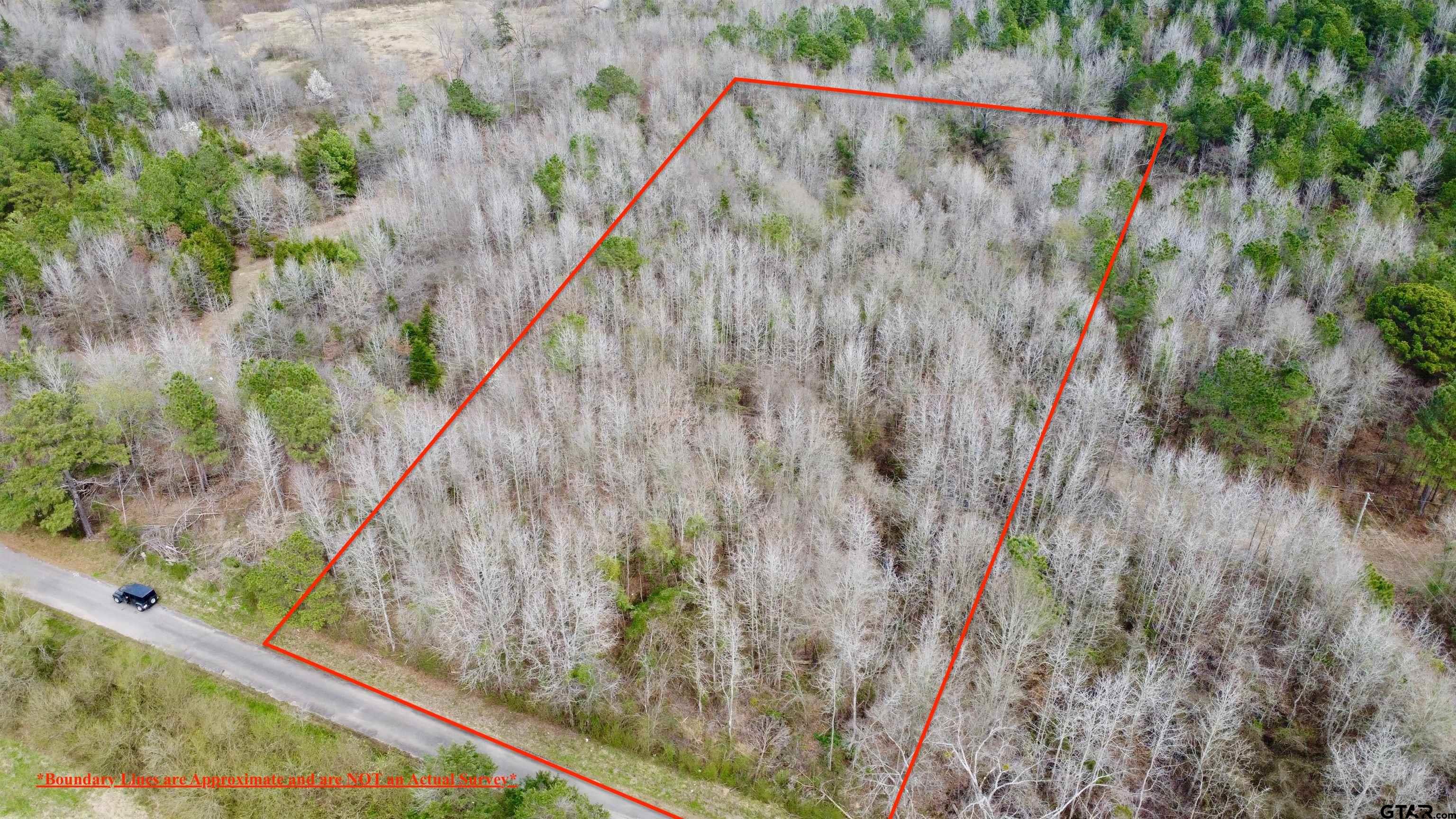 Tract 2 County Road 4305 Property Photo