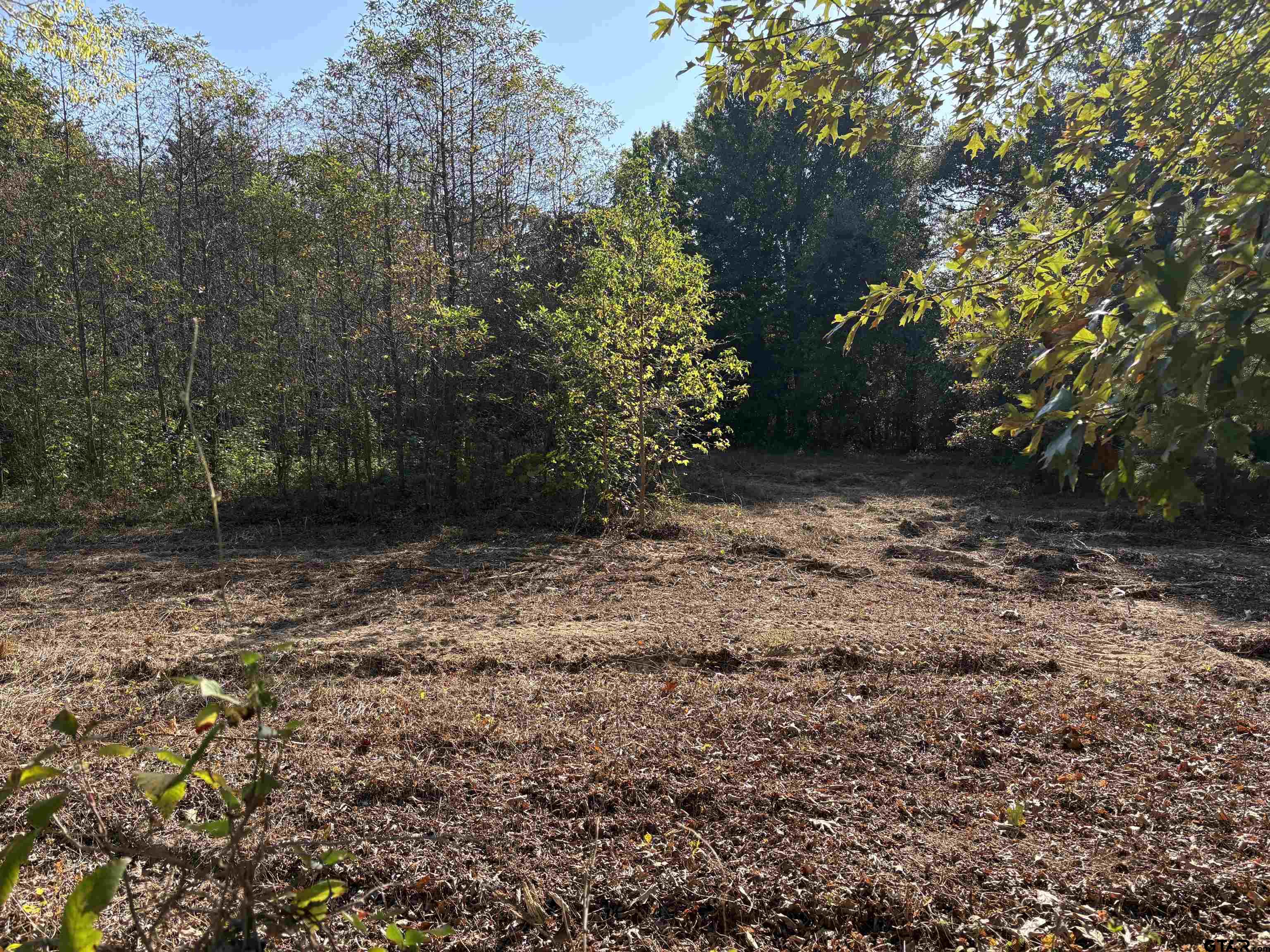 Tbd Fm 607 Property Photo