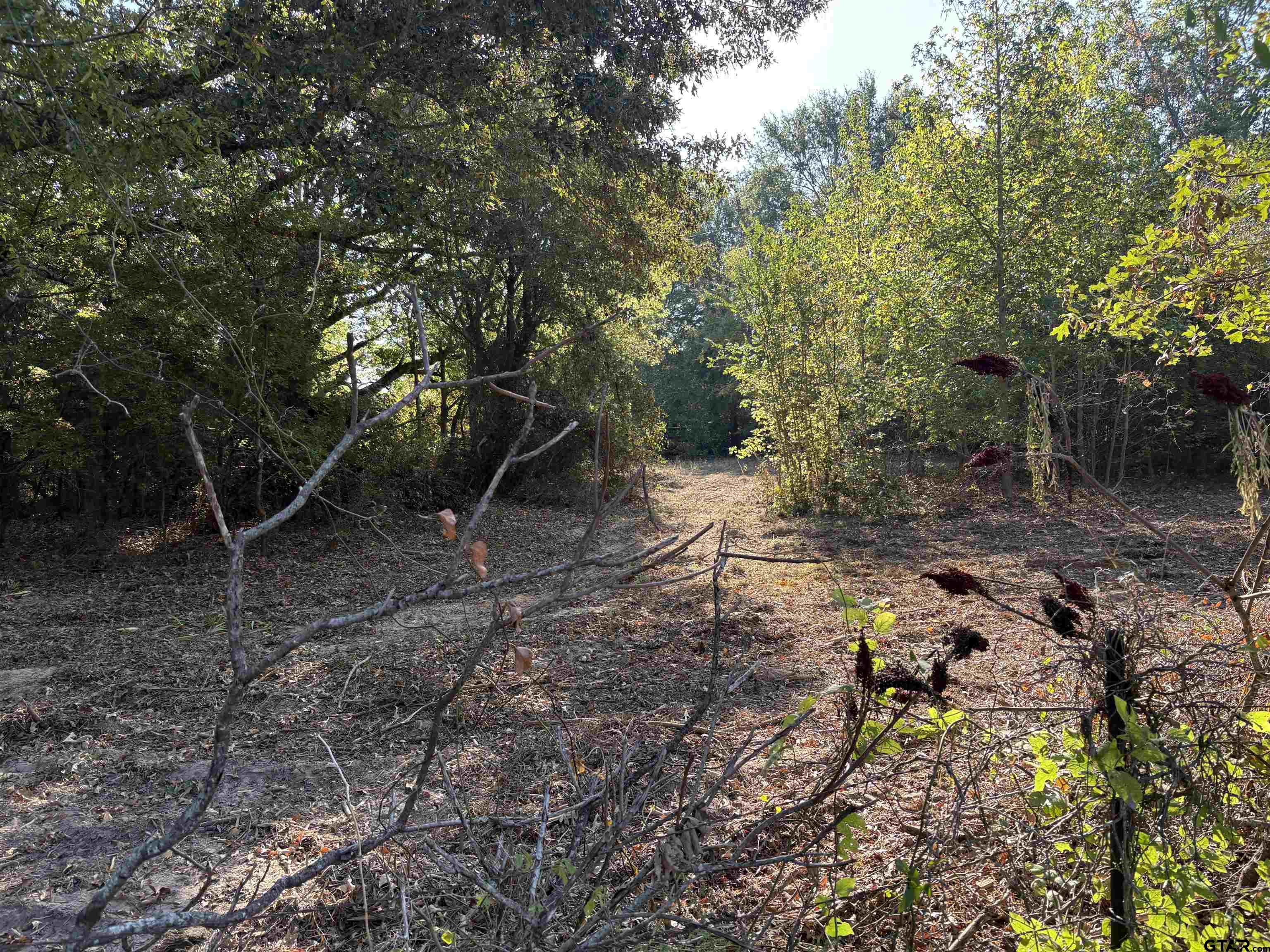 Tbd Fm 607 Property Photo