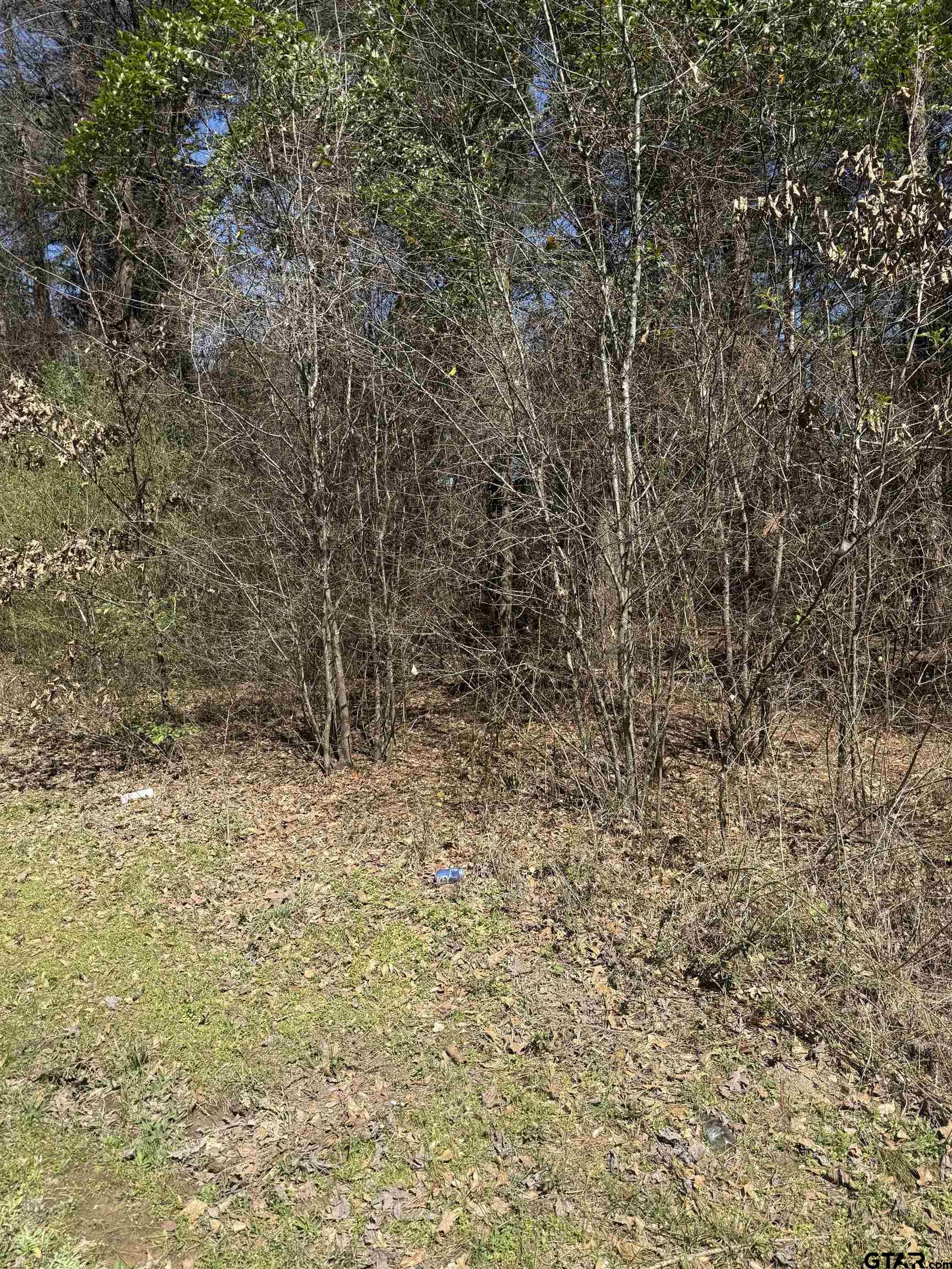 513 Honeysuckle Trail Property Photo
