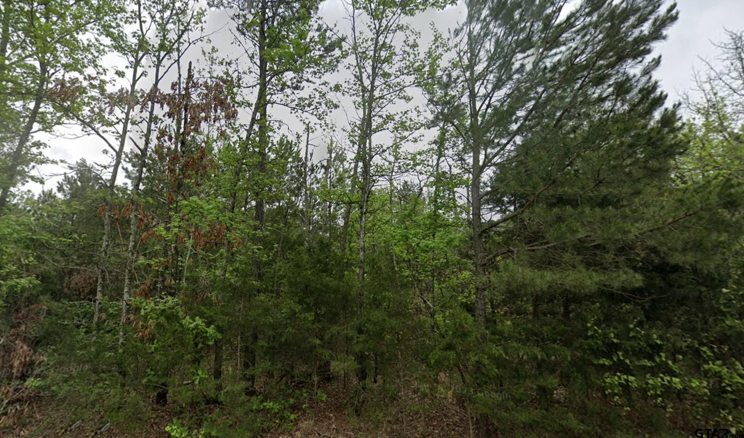 Big Sandy Real Estate Listings Main Image