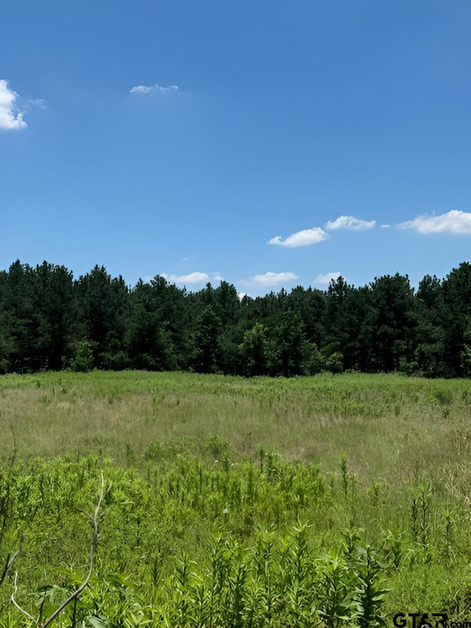 17728 E Fm 346 Property Photo