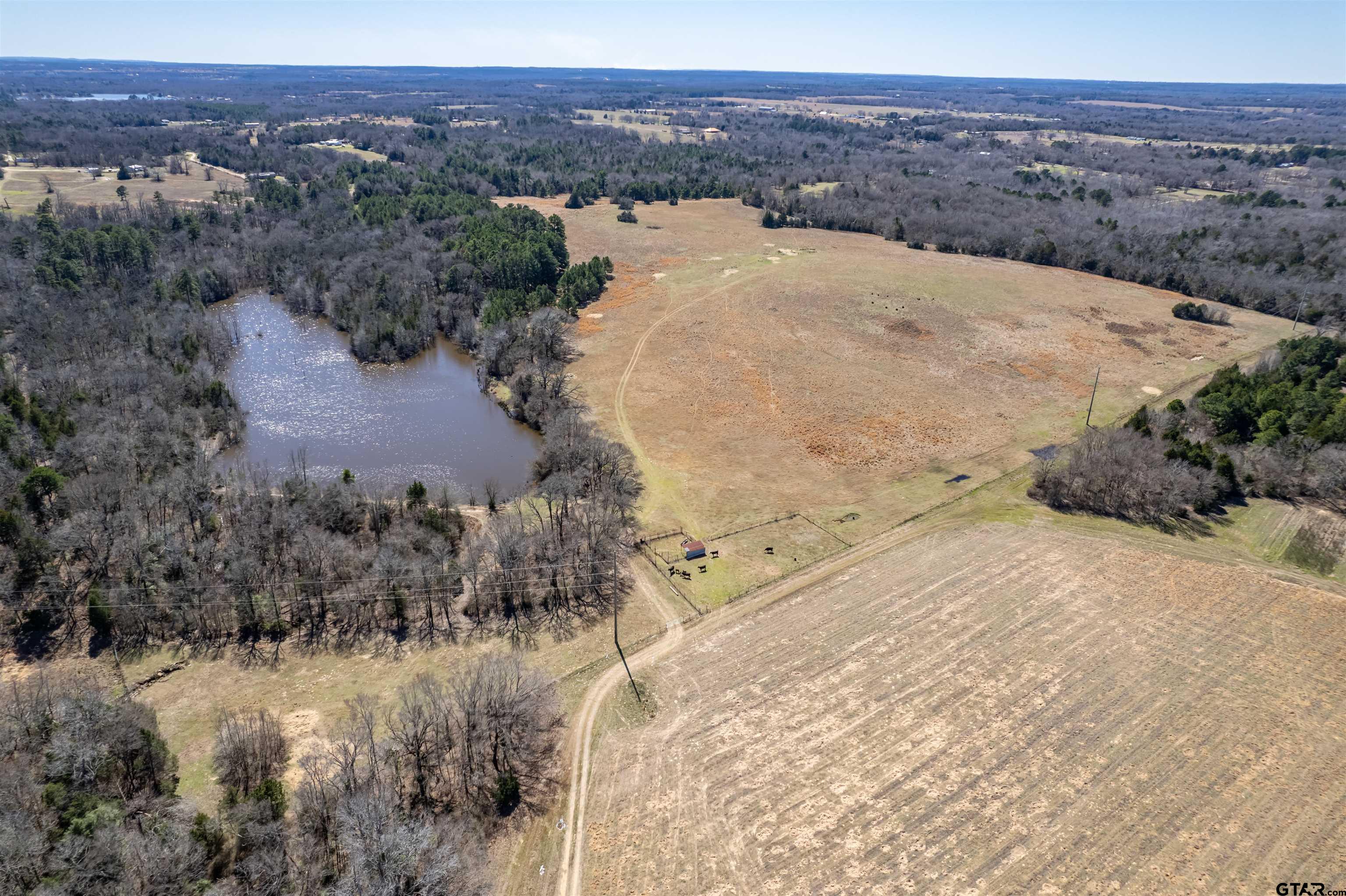Tbd State Hwy 31 Property Photo