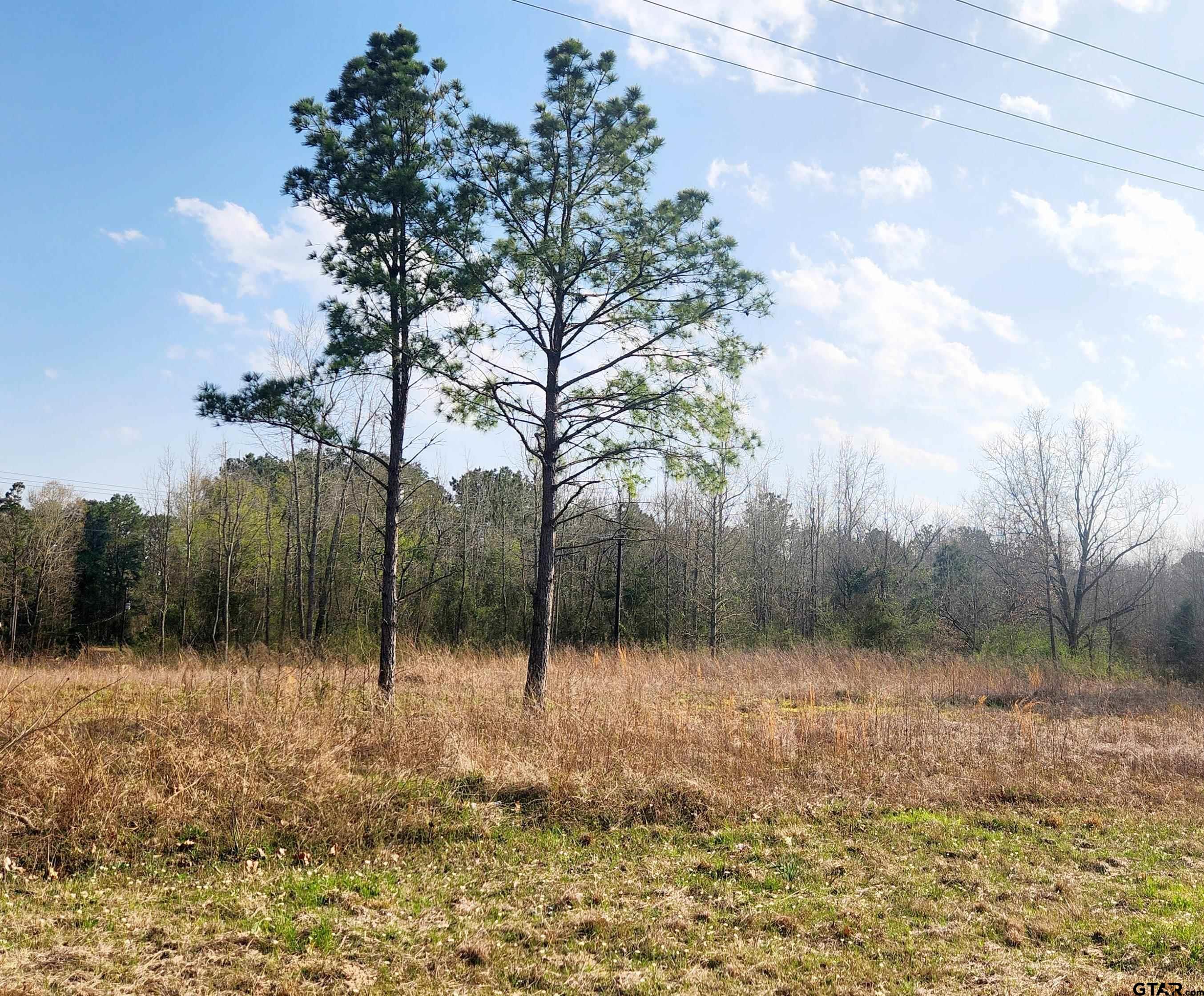 Tbd N State Hwy 155 Lot 3, 0.905 Property Photo 1