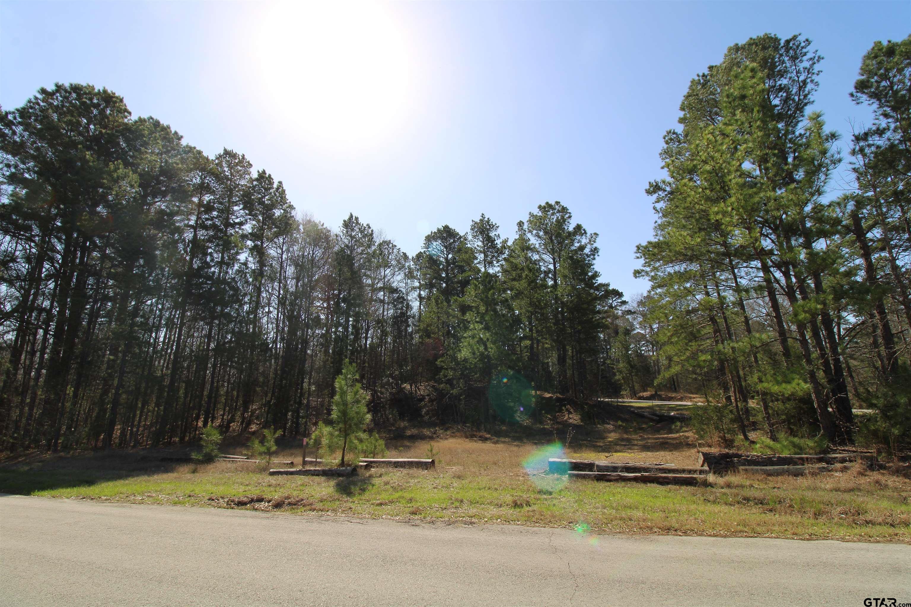 Chapel Hill Real Estate Listings Main Image