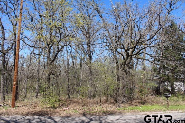 6122 Chickasaw Drive Property Photo