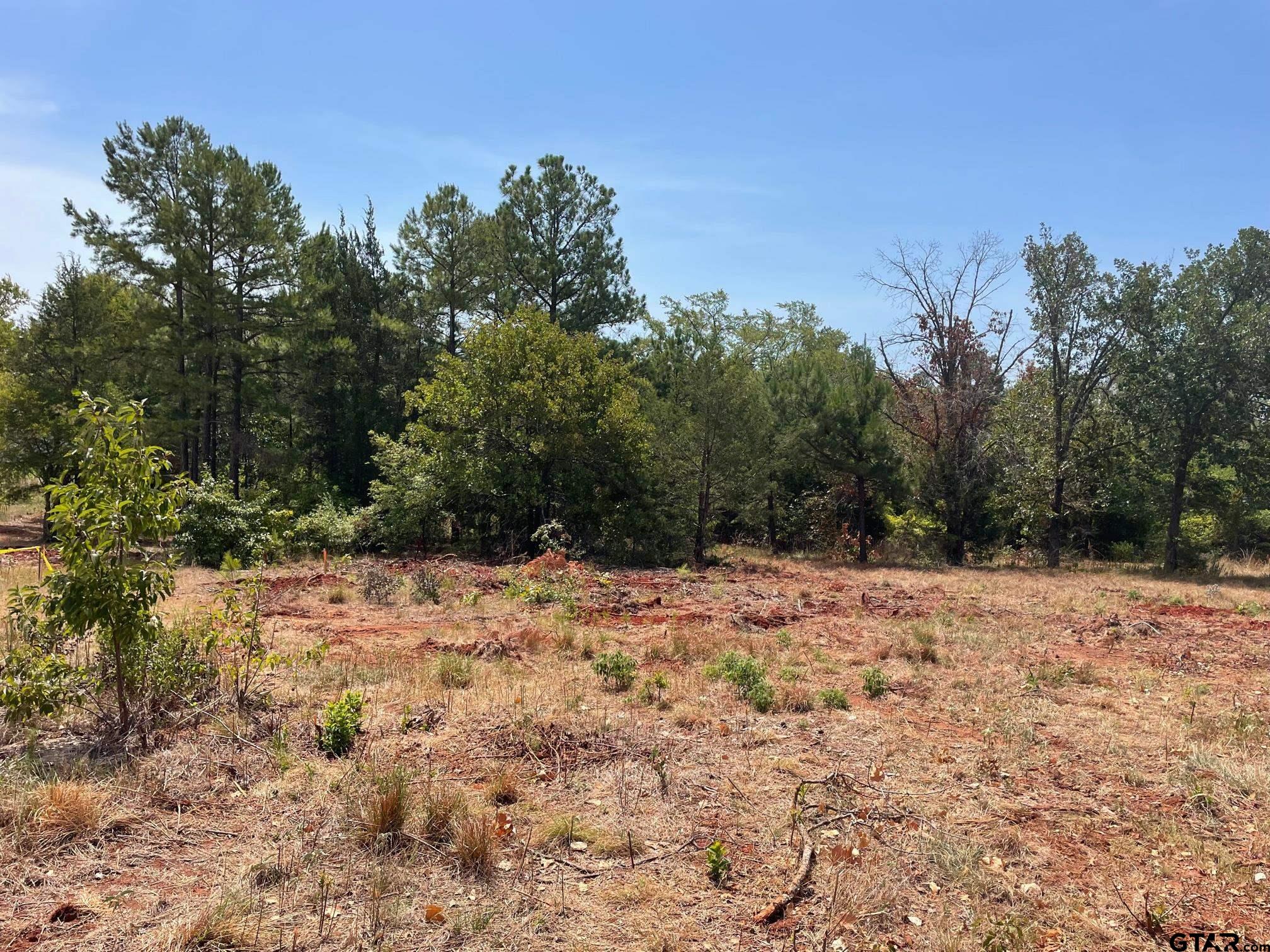 12339 Hackberry Hollow Property Photo 1