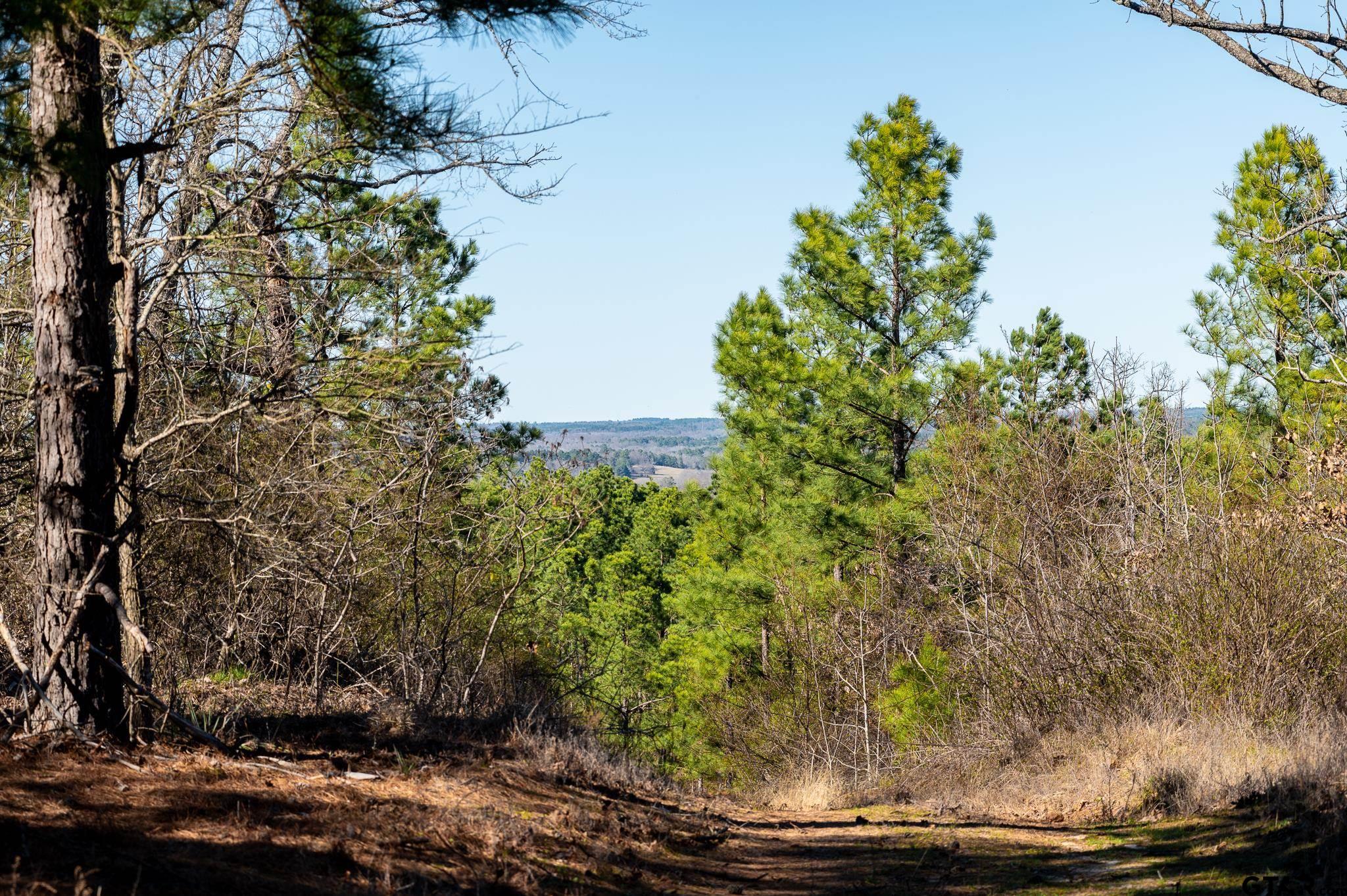 Tbd Hwy 64 Property Photo