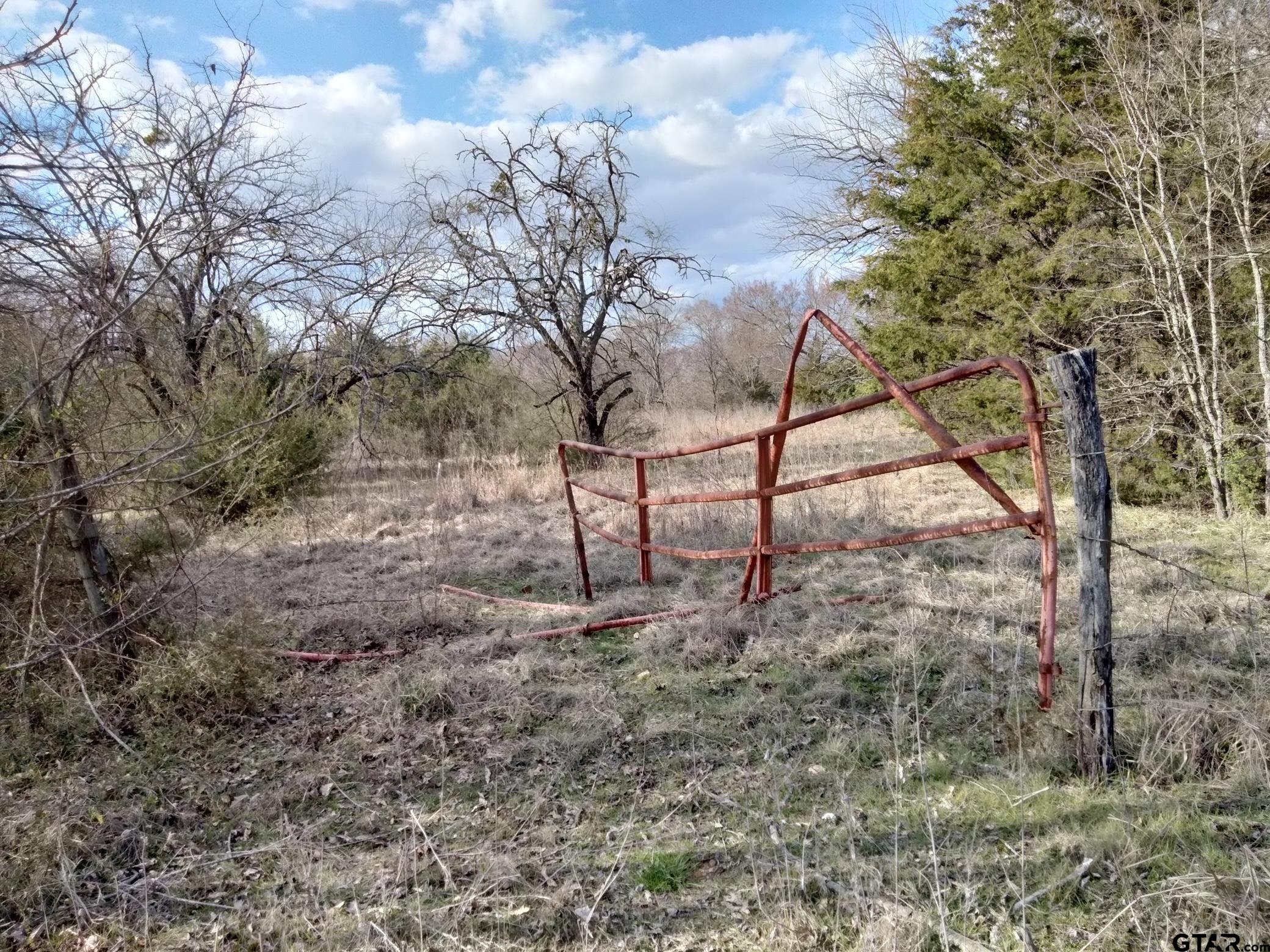 Tbd Fm 410 Property Photo 1