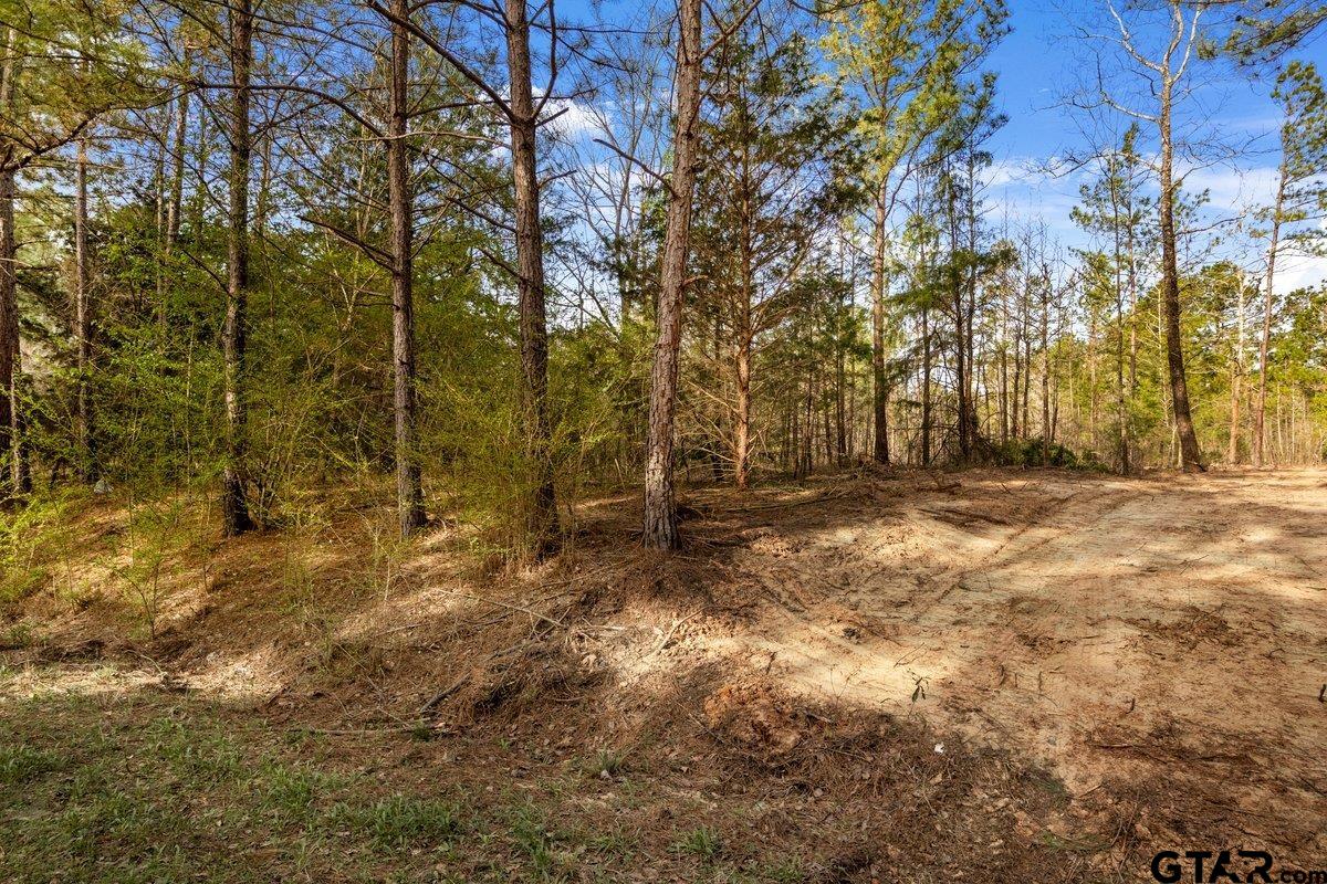 Tbd County Road 2154 Lot 3 Property Photo