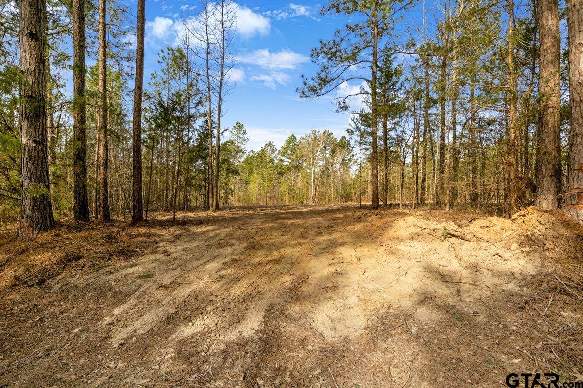 Tbd County Road 2154 Lot 4 Property Photo
