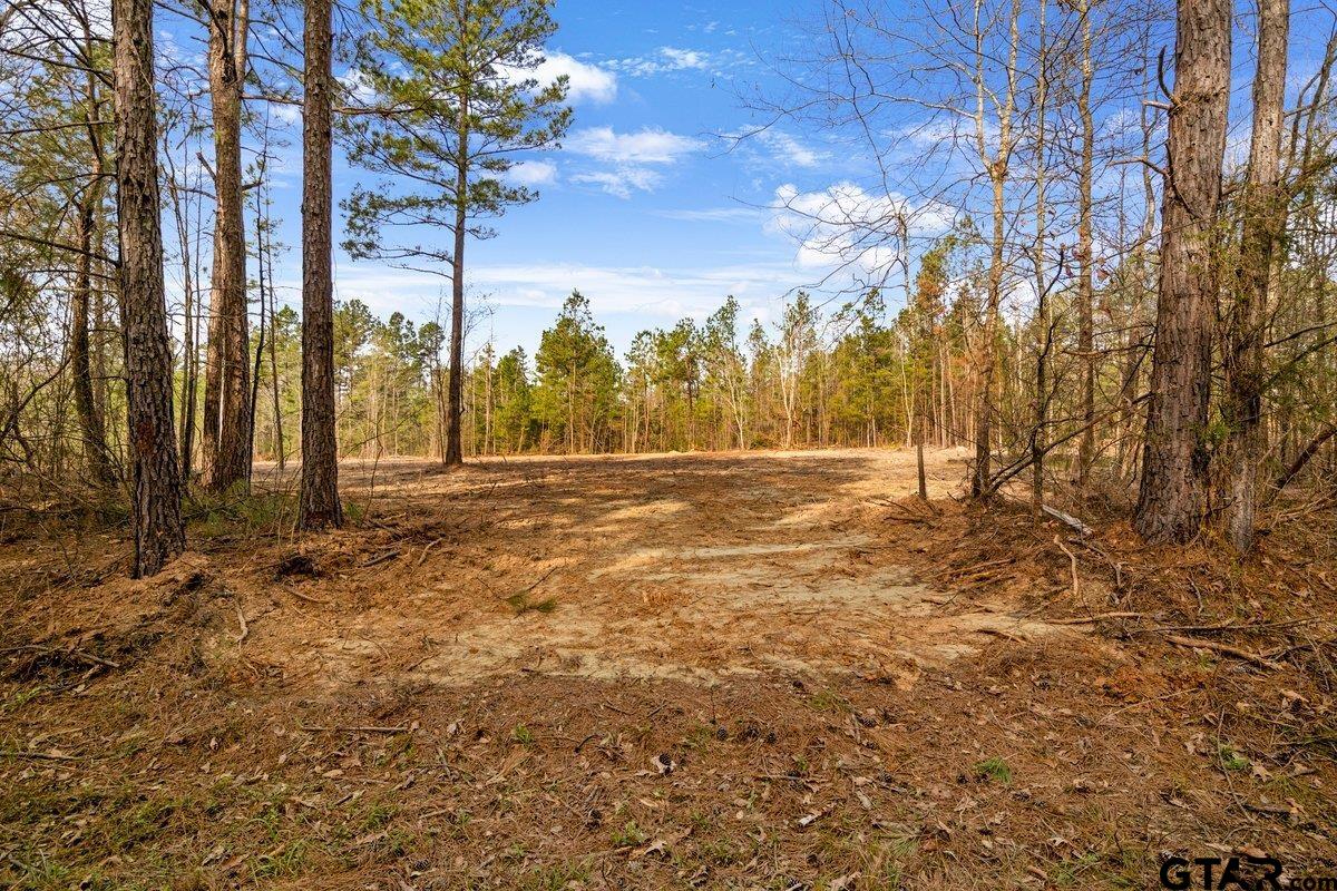 Tbd County Road 2154 Lot 5 Property Photo