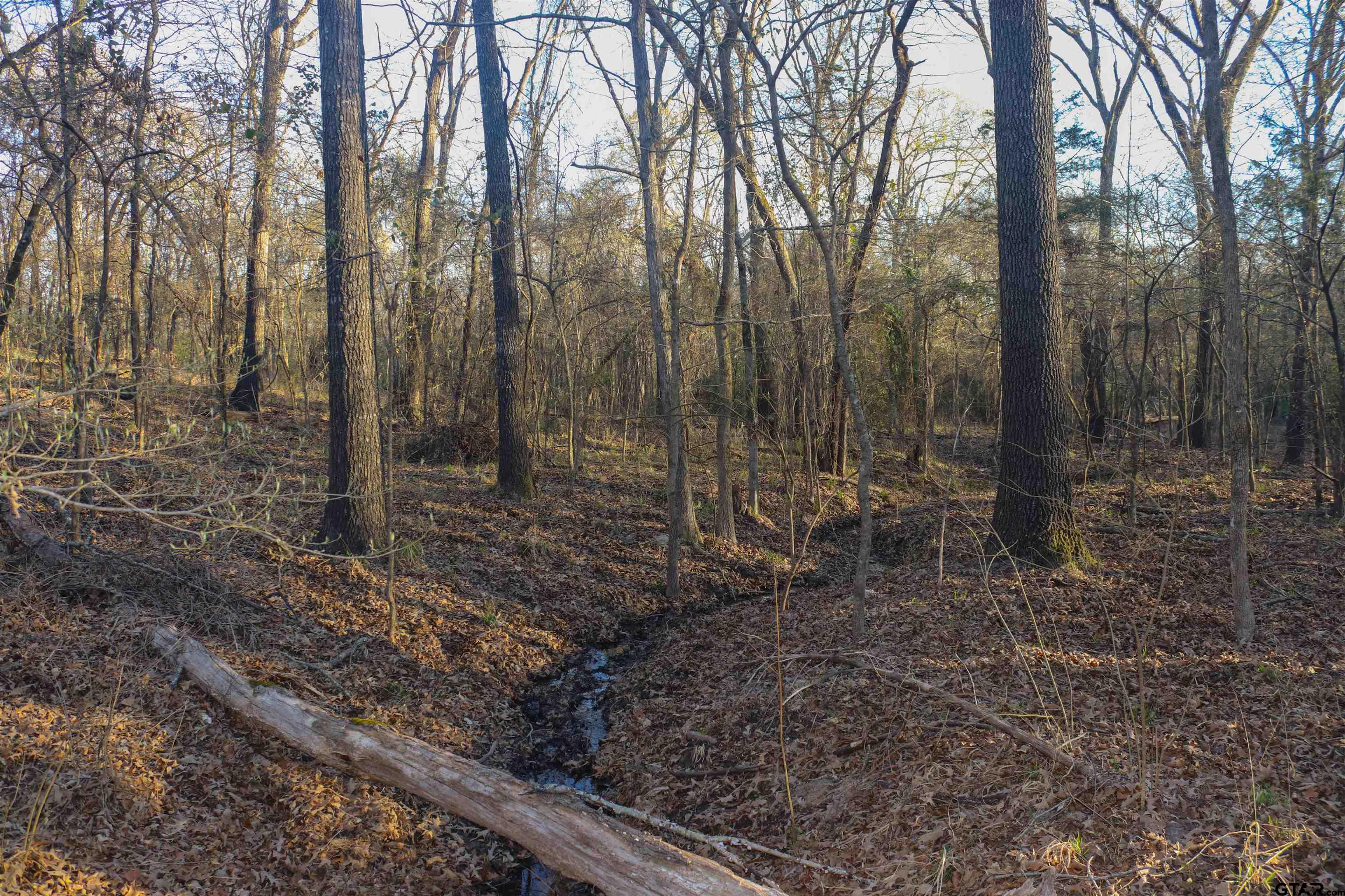 000 Cr 1500 Property Photo 7