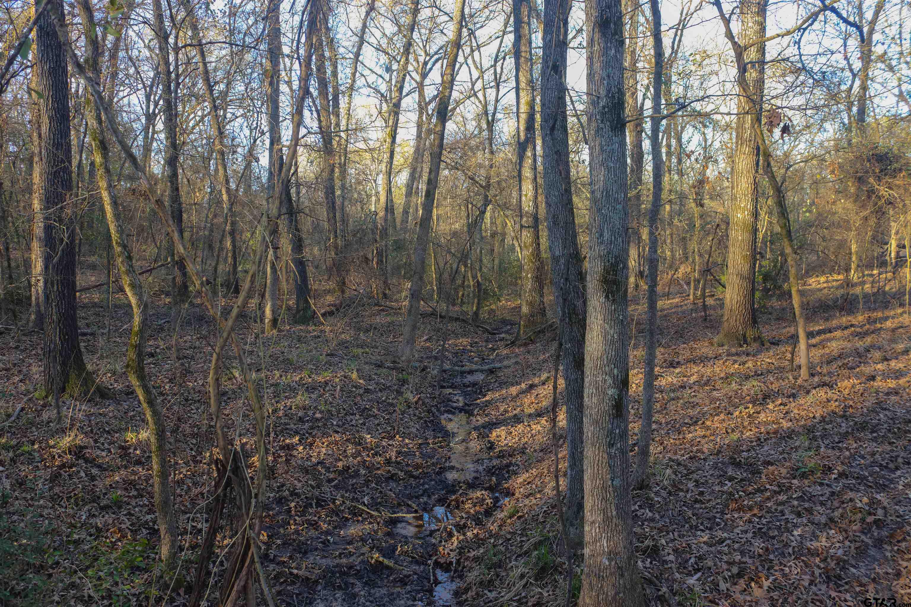 000 Cr 1500 Property Photo 8