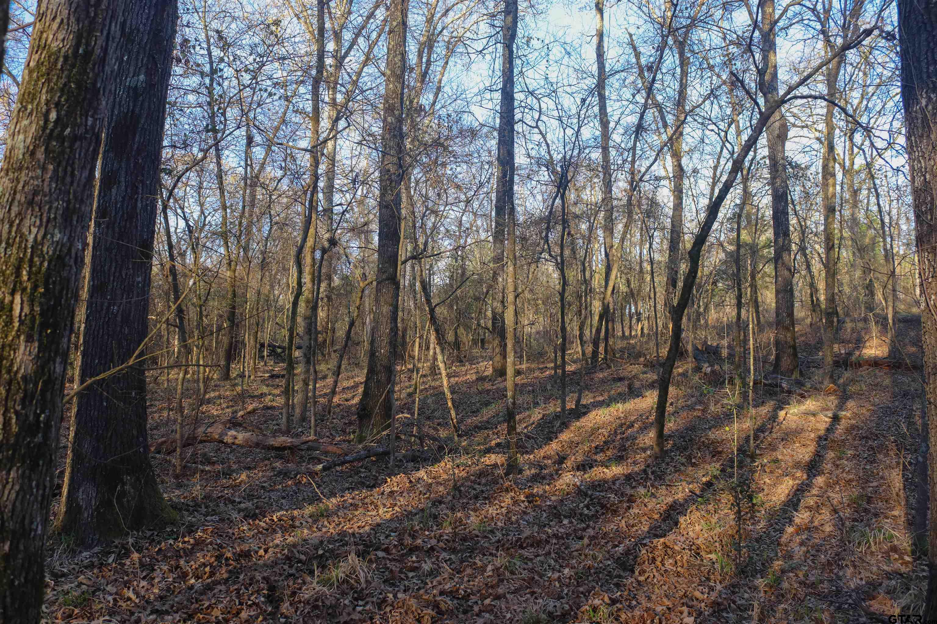 000 Cr 1500 Property Photo 9