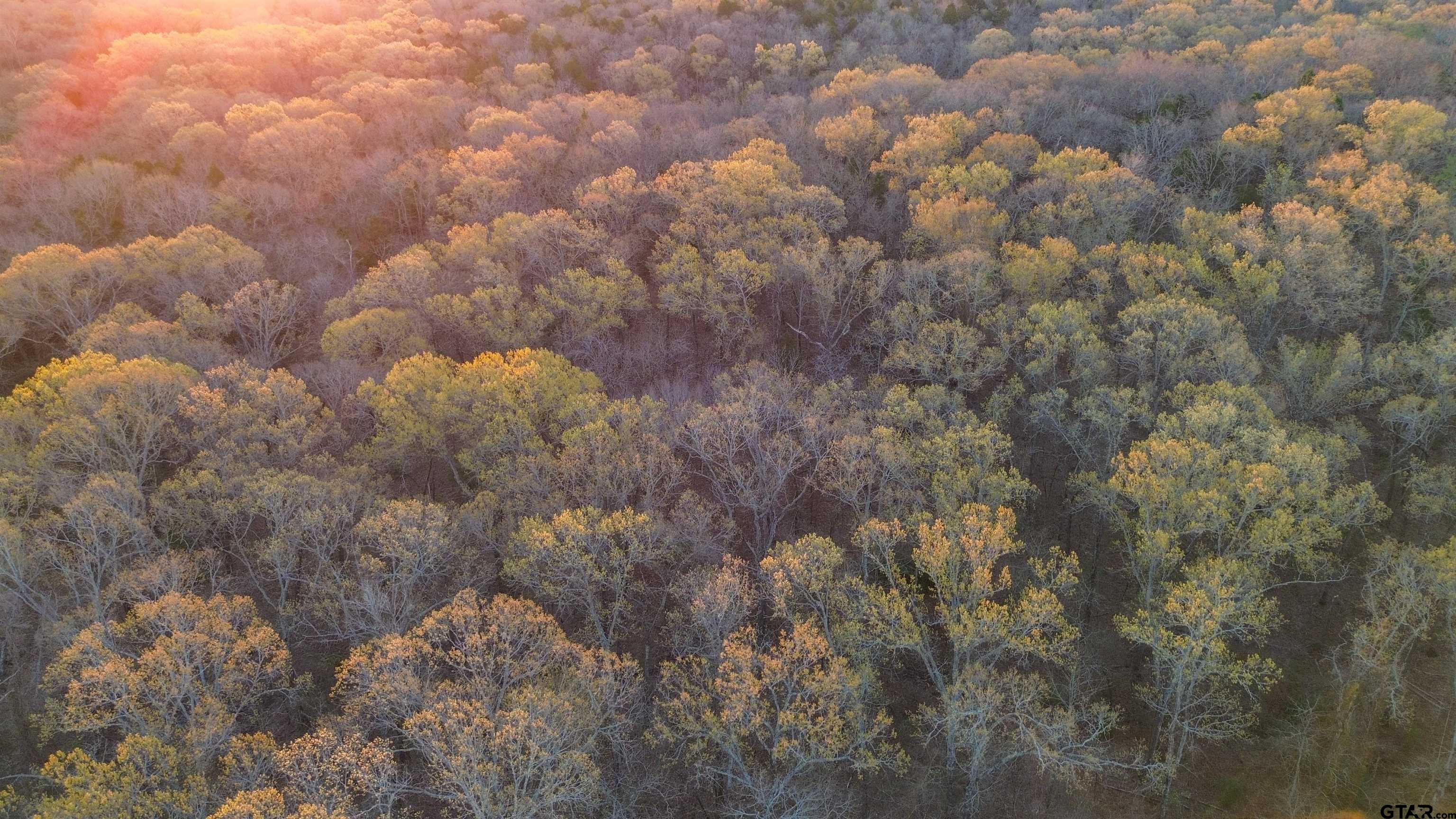 000 Cr 1500 Property Photo 14