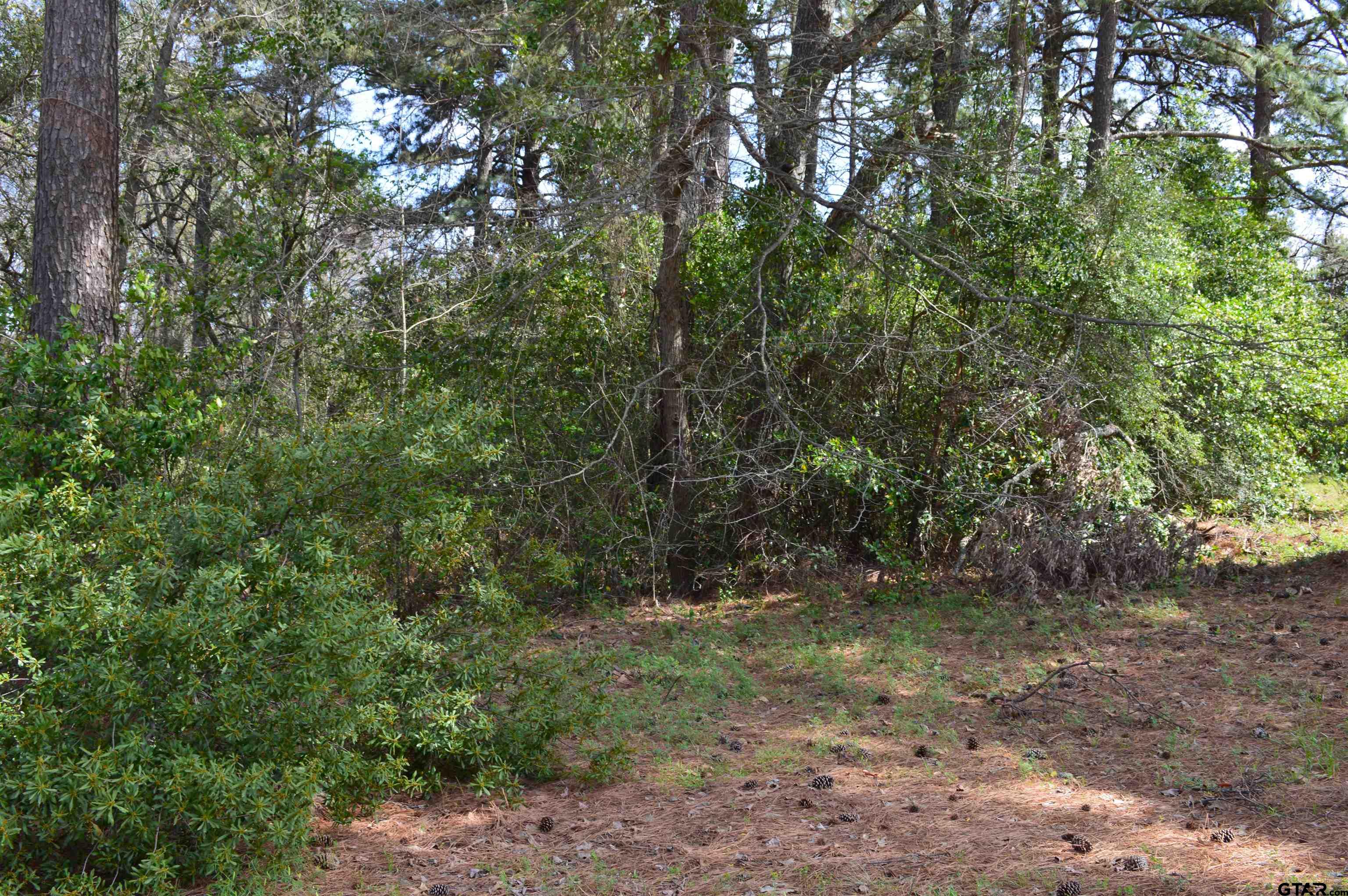 706 Duckenfield Ave Property Photo 1