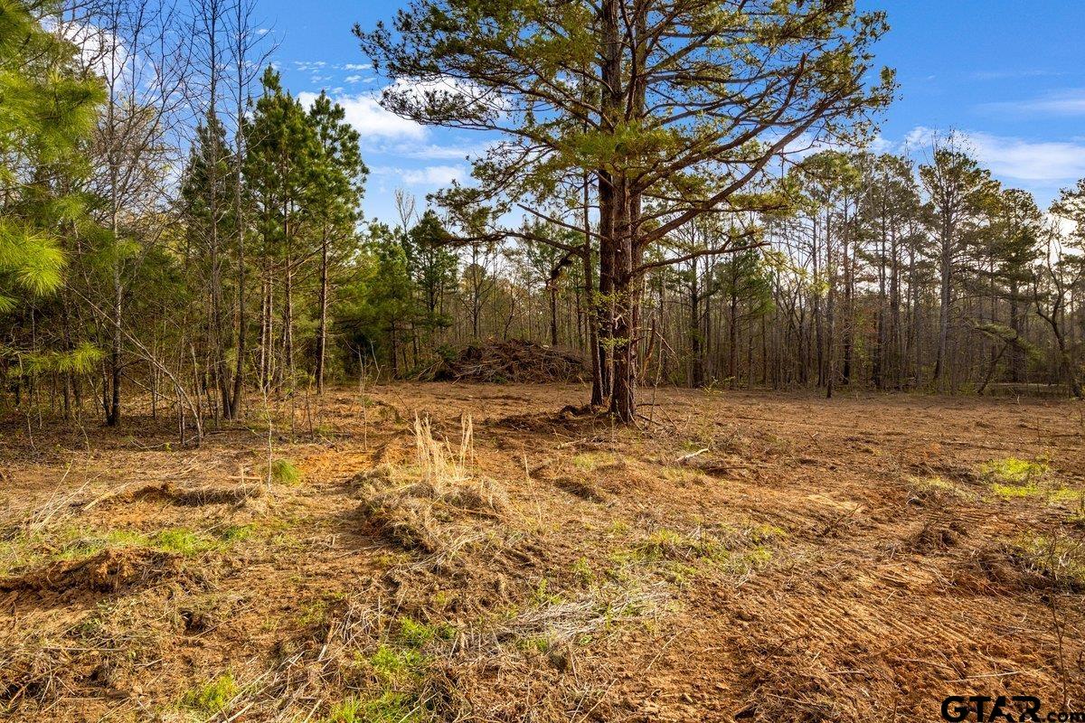 Tbd County Road 2153 Lot 1 Property Photo