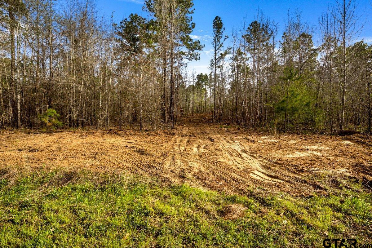 Tbd County Road 2153 Lot 2 Property Photo