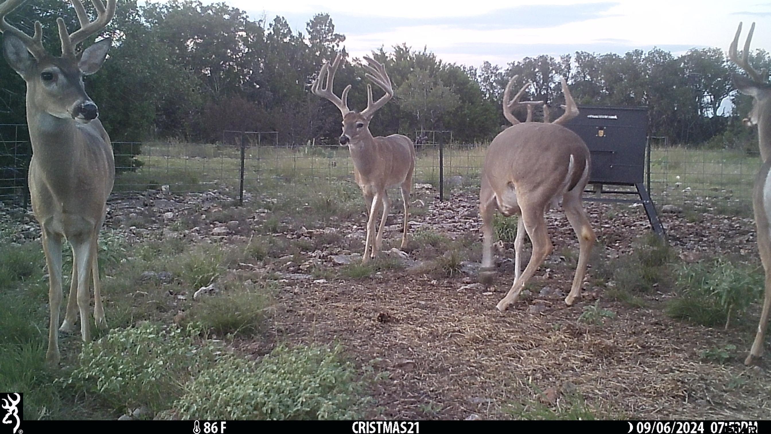 Lot 15 Contrary Creek Ranches Property Photo 1