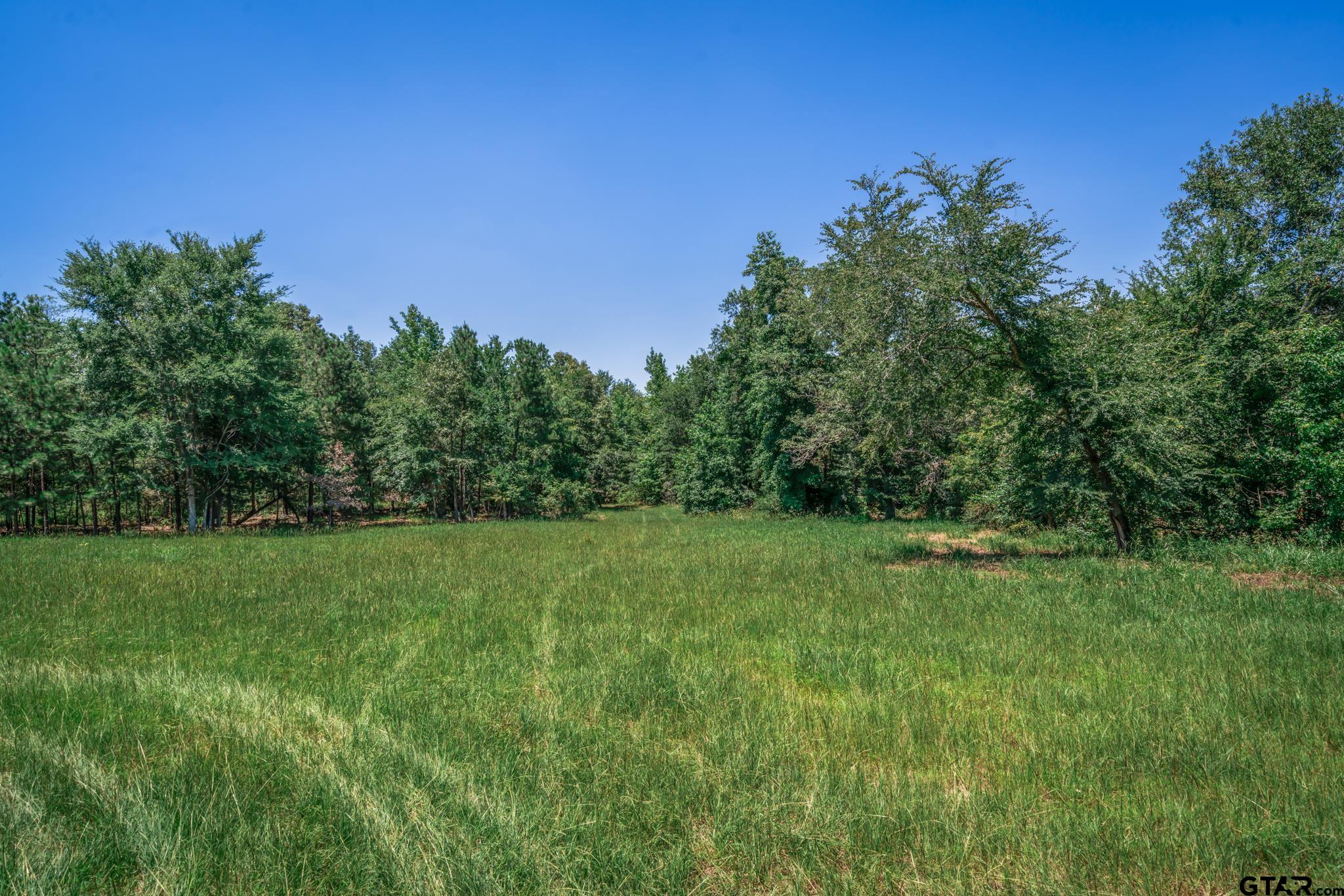 Tbd (23400) Cr 244 Tract 4 Property Photo