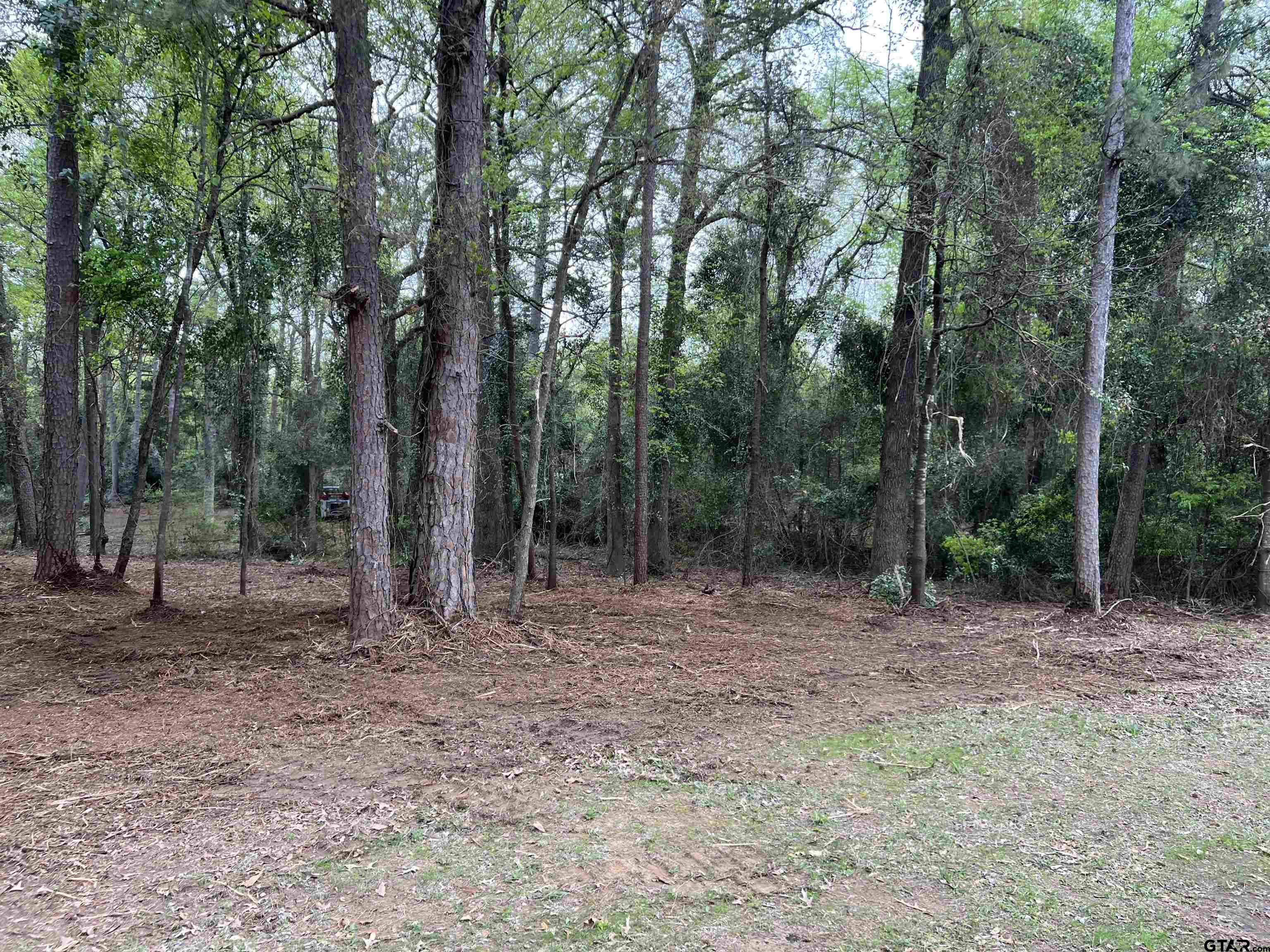 Tbd Cr 2603 Property Photo 1
