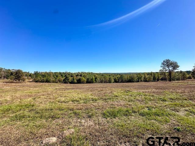Tbd Cr 314 Property Photo